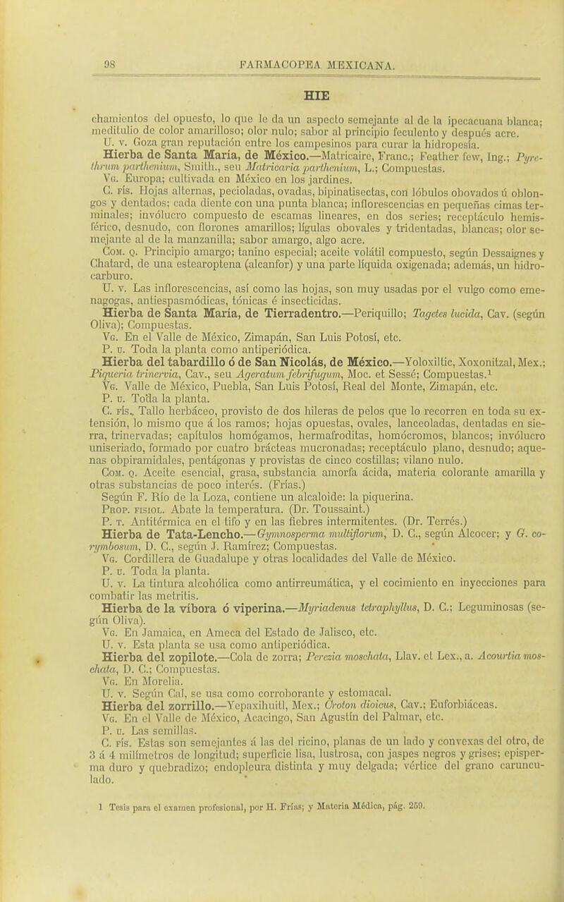 HIE chamientos del opuesto, lo que le da un aspecto semejante al de la ipecacuana blanca; meditulio de color amarilloso; olor nulo; sabor al principio feculento y después acre. IJ. v. Goza gran reputación entre los campesinos para curar la hidropesía. Hierba de Santa María, de México.—Matricairc, Franc; Fcathcr few, Ing.; Pyre- l/irum purtlicnium, Sinilh., sen Mullicaría parthcnium, L.; Compuestas. Vg. Europa; cultivada en México en los jardines. G. fIs. Hojas alternas, pecioladas, ovadas, bipinatisectas, con lóbulos obovados ú oblon- gos y dentados; cada diente con una punta blanca; inflorescencias en pequeñas cimas ter- minales; involucro compuesto de escamas lineares, en dos series; receptáculo hemis- férico, desnudo, con florones amarillos; lígulas obovales y bidentadas, blancas; olor se- mejante al de la manzanilla; sabor amargo, algo acre. Com. q. Principio amargo; tanino especial; aceite volátil compuesto, según Dessaignesy Ghatard, de una estearoptena (alcanfor) y una parte líquida oxigenada; además, un hidro- carburo. U. v. Las inflorescencias, asi como las hojas, son muy usadas por el vulgo como cme- nagogas, antiespasmódicas, tónicas é insecticidas. Hierba de Santa María, de Tierradentro.—Periquillo; Tagetes lucida, Cav. (según Oliva); Compuestas. Vo. En el Valle de México, Zimapán, San Luis Potosí, etc. P. o. Toda la planta como antiperiódica. Hierba del tabardillo ó de San Nicolás, de México.—Yoloxiltic, Xoxonitzal, Méx.: Piquería Irincrvia, Cav., seu Ageratum febrifugum, Moc. et Sessé; Compuestas.1 Vg. Valle de México, Puebla, San Luis Potosí, Real del Monte, Zimapán, etc. P. u. To'da la planta. C. f!s> Tallo herbáceo, provisto do dos hileras de pelos que lo recorren en toda su ex- tensión, lo mismo que á los ramos; hojas opuestas, ovales, lanceoladas, dentadas en sie- rra, trinervadas; capítulos homógamos, hermafroditas, homócromos, blancos; involucro uniseriado, formado por cuatro brácteas mucronadas; receptáculo plano, desnudo; aque- nas ohpiramidales, pentágonas y provistas de cinco costillas; vilano nulo. Com. q. Aceite esencial, grasa, substancia amorfa ácida, materia colorante amarilla y otras substancias de poco interés. (Frías.) Según F. Río de la Loza, contiene un alcaloide: la piquerina. Prop. fisiol. Abate la temperatura. (Dr. Toussaint.) P. t. Antitérmica en el tifo y en las fiebres intermitentes. (Dr. Terrés.) Hierba de Tata-Lencho.—Gymnospcrma multiflorum, D. G, según Alcocer; y G. co- rymbosum, D. C, según J. Ramírez; Compuestas. Vg. Cordillera de Guadalupe y otras localidades del Valle de México. P. u. Toda la planta. U. v. La tintura alcohólica como antirreumática, y el cocimiento en inyecciones para combatir las metritis. Hierba de la víbora ó viperina.—Myriadcnus tctraphyllus, D. C; Leguminosas (se- gún Oliva). Vg. En Jamaica, en Amcca del Estado de Jalisco, etc. U. v. Esta planta se usa como antiperiódica. Hierba del zopilote.—Cola de zorra; Perezla moachata, Llav. et Lex.,a. Acourtia mos- chata, D. C; Compuestas. Vg. En Morclia. U. v. Según Cal, se usa como corroborante y estomacal. Hierba del zorrillo.—Vepaxihuill, Méx.; Crotón dioicu», Cav.; Euforbiáceas. Vg. En el Valle de México, Acacingo, San Agustín del Palmar, etc. P. u. Las semillas. C. fís. Estas son semejantes á las del ricino, planas de un lado y convexas del otro, de 3 á 4 milímetros de longitud; superficie lisa, lustrosa, con jaspes negros y grises; episper- ma duro y quebradizo; endopleura distinta y muy delgada; vértice del grano caruncu- lado. 1 Tesis pnni el esninen prnfcsionnl, por EL Fríiis; y Jlnterin Medien, púg. 259.