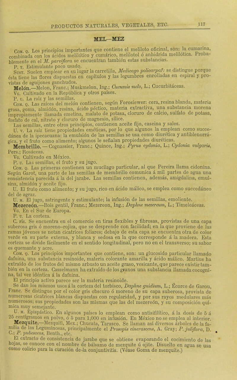 MEL—MEZ Cosí o. Los principios importantes que contiene el meliloto oficinal, son: la cumarina, combinada con los ácidos mclilótico y cumárico, melilotol ó anhídrida melilótica. Proba- blemente en el M. parviflora se encuentran también estas substancias. P. t. Estimulante poco usado. Si'ST Suelen emplear en su lugar la carretilla, Medicago policarpaf: se distingue porque ésta tiene las flores dispuestas en capítulos y las legumbres enrolladas en espiral y pro- vistas de aguijones ganchudos. Melón.—Melón, Franc; Muskmelon, Ing.; Cucurms vicio, L.; Cucurbitáceas. Ve. Cultivado en la República y otros países. P. u. La raíz y las semillas. : . Con q. Las raíces del melón contienen, según Forosiewer: cera, resina blanda, materia grasa, goma, almidón, resina, ácido péctico, materia extractiva, una substancia morena impropiamente llamada emetina, malato de potasa, cloruro de calcio, sulfato de potasa, fosfato de cal, nitrato y cloruro de magnesio, sílice. Las semillas, entre otros principios, contienen aceite fijo, caseína y sales. U. v. La raíz tiene propiedades eméticas, por lo que algunos la emplean como succe- dánea de la ipecacuana: la emulsión de las semillas se usa como diurética y antiblenorrá- gica, y el fruto como alimento; algunos le señalan propiedades diuréticas. Membrillo. — Cognassier, Franc; Quince, Ing.; Pyrus cydonia, L.; Cydonia vulgaris, Pers.; Rosáceas. Ve. Cultivado en México. P. u. Las semillas, el fruto y su jugo. Com. q. Las primeras contienen un mucílago particular, al que Pereira llama cidonina. Según Garot, una parte de las semillas de membrillo comunica á mil partes de agua una consistencia parecida á la del jarabe. Las semillas contienen, además, amigdalina, emul- sina, almidón y aceite fijo. U. El fruto como alimento; y su jugo, rico en ácido málico, se emplea como succedáneo del de agraz. U. m. El jugo, astringente y estimulante; la infusión de las semillas, emoliente. Mezereón.—Bois gentil, Franc; Mezereon, Ing.; Baphne mezereum, L.; Tímeleáceas. Ve. En el Sur de Europa. P. u. La corteza. C. fís. Se encuentra en el comercio en tiras flexibles y fibrosas, provistas de una capa suberosa gris ó moreno-rojiza, que se desprende con facilidad; en la que proviene de las ramas jóvenes se notan cicatrices foliares; debajo de esta capa se encuentra otra de color verde en su parte externa, y blanca y sedosa en la que corresponde á la madera. Esta corteza se divide fácilmente en el sentido longitudinal, pero no en el transverso; su sabor es quemante y acre. Com. q. Los principios importantes que contiene, son: un glucósido particular llamado dafnina, una substancia resinoide, materia colorante amarilla y ácido málico. Martius ha extraído de los frutos del mismo arbusto un aceite graso, vesicante, que parece existir tam- bién en la corteza. Casselmann ha extraído de los granos una substancia llamada cocogni- na, tal vez idéntica á la dafnina. El principio activo parece ser la materia resinoide. Se dan los mismos usos á la corteza del torbisco, Daphnc gnidium, L.; Écorce de Garou, Franc. Se distingue por el color gris obscuro ó moreno de su capa suberosa, provista de numerosas cicatrices blancas dispuestas con regularidad, y por sus rayos medulares más numerosos; sus propiedades son las mismas que las del mezereón, y su composición quí- mica muy semejante. U. m. Epispástico. En algunos países lo emplean como antisifilítico, á la dosis de 5 á 25 centigramos en polvo, ó 5 para 1,000 en infusión. En México no se emplea al interior. Mezquite.—Mezquitl, Méx.; Chucata, Tarasco. Se llaman asi diversos árboles de la fa- milia de las Leguminosas, principalmente el Prosopis cincrasccns, A. Gray; P. julifiora, D. C; P. pubesce™, Benlh., ele. El extracto de consistencia de jarabe que se obtiene evaporando el cocimiento de las hojas, se conoce con el nombre de bálsamo de mezquite ú ojite. Disuelto en agua se usa como colirio para la curación de la conjuntivitis. (Véase Goma de mezquite.)