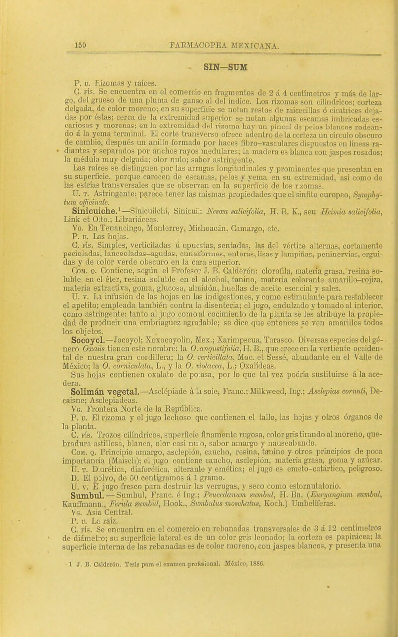 SIN-SUM P. u. Rizomas y raíces. C. fís. Se encuentra en el comercio en fragmentos de 2 á 4 centímetros y más de lar- go, del grueso de una pluma de ganso al del índice. Los rizomas son cilindricos; corteza delgada, de color moreno; en su superficie se notan restos de raicecillas ó cicatrices deja- das por éstas; cerca de la extremidad superior se notan algunas escamas imbricadas es- cariosas y morenas; en la extremidad del rizoma hay un pincel de pelos blancos rodean- do á la yema terminal. El corte transverso ofrece adentro de la corteza un círculo obscuro de cambio, después un anillo formado por haces fibro-vasculares dispuestos en líneas ra- diantes y separados por anchos rayos medulares; la madera es blanca con jaspes rosados; la médula muy delgada; olor nulo; sabor astringente. Las raíces se distinguen por las arrugas longitudinales y prominentes que presentan en su superficie, porque carecen de escamas, pelos y yema en su extremidad, así como de las estrías transversales que se observan en la superficie de los rizomas. U. t. Astringente: parece tener las mismas propiedades que el siníito europeo, Symphy- tum oflicinale. Sinicuiche.1—Sinicuilchi, Sinicuil; Nescca salicifolia, H. B. K., seu Heímia salicifolia, Link et Olto.; Litrariáceas. Vo. En Tenancingo, Monterrey, Michoacán, Camargo, etc. P. u. Las hojas. C. fís. Simples, verticiladas ú opuestas, sentadas, las del vértice alternas, cortamente pecioladas, lanceoladas-agudas, cuneiformes, enteras, lisas y lampiñas, peninervias, ergui- das y de color verde obscuro en la cara superior. Com. q. Contiene, según el Profesor J. B. Calderón: clorofila, materia grasa, resina so- luble en el éter, resina soluble en el alcohol, tanino, materia colorante amarillo-rojiza, materia extractiva, goma, glucosa, almidón, huellas de aceite esencial y sales. U. v. La infusión de las hojas en las indigestiones, y como estimulante para restablecer el apetito; empleada también contra la disenteria; el jugo, endulzado y tomado al interior, como astringente: tanto al jugo como al cocimiento de la planta se les atribuye la propie- dad de producir una embriaguez agradable; se dice que entonces se ven amarillos todos los objetos. Socoyol.—Jocoyol; Xoxocoyolin, Méx.; Xarimpscua, Tarasco. Diversas especies del gé- nero Oxalis tienen este nombre: la O. angustlfoHa, H. B., que crece en la vertiente occiden- tal de nuestra gran cordillera; la O. vertici/lala, Moc. et Sessé, abundante en el Valle de México; la O. corniciilala, L., y la O. violácea, L.; Oxalídeas. Sus hojas contienen oxalato de potasa, por lo que tal vez podría sustituirse á la ace- dera. Solimán vegetal.—Asclépiade ¡\ la soie, Franc; Milkweed, Ing.; Asclcpias cornuti, De- caisne; Asclepiadeas. Vci. Frontera Norte de la República. P. u. El rizoma y el jugo lechoso que contienen el tallo, las hojas y otros órganos de la planta. C. fís. Trozos cilindricos, superficie finamente rugosa, colorgris tirando al moreno, que- bradura astillosa, blanca, olor casi nulo, sabor amargo y nauseabundo. Com. q. Principio amargo, asclepión, caucho, resina, taiiino y otros principios de poca importancia (Maisch); el jugo contiene caucho, asclepión, materia grasa, goma y azúcar. U. t. Diurética, diaforética, alterante y emética; el jugo es emeto-catárlico, peligroso. D. El polvo, de 50 centigramos á 1 gramo. U. v. El jugo fresco para destruir las verrugas, y seco como estornutatorio. Sumbul. — Sumbul, Franc. é Ing.; Pcuccdanum «umbul, II. Bn. (Eun/angiiim mimbiil, Kauífmann., Férula sumbul, Hook., tiumbulus moschalus, Koch.) Umbelíferas. Vg. Asía Central. P. u. La raíz. C. fís. Se encuentra en el comercio en rebanadas transversales de 3 á 12 centímetros de diámetro; su superficie lateral es de un color gris leonado; la corteza es papirácea; la superficie interna de las rebanadas es de color moreno, con jaspes blancos, y presenta una 1 J. IJ. Calderón. Tesis puro el examen profesional. México, 1880.