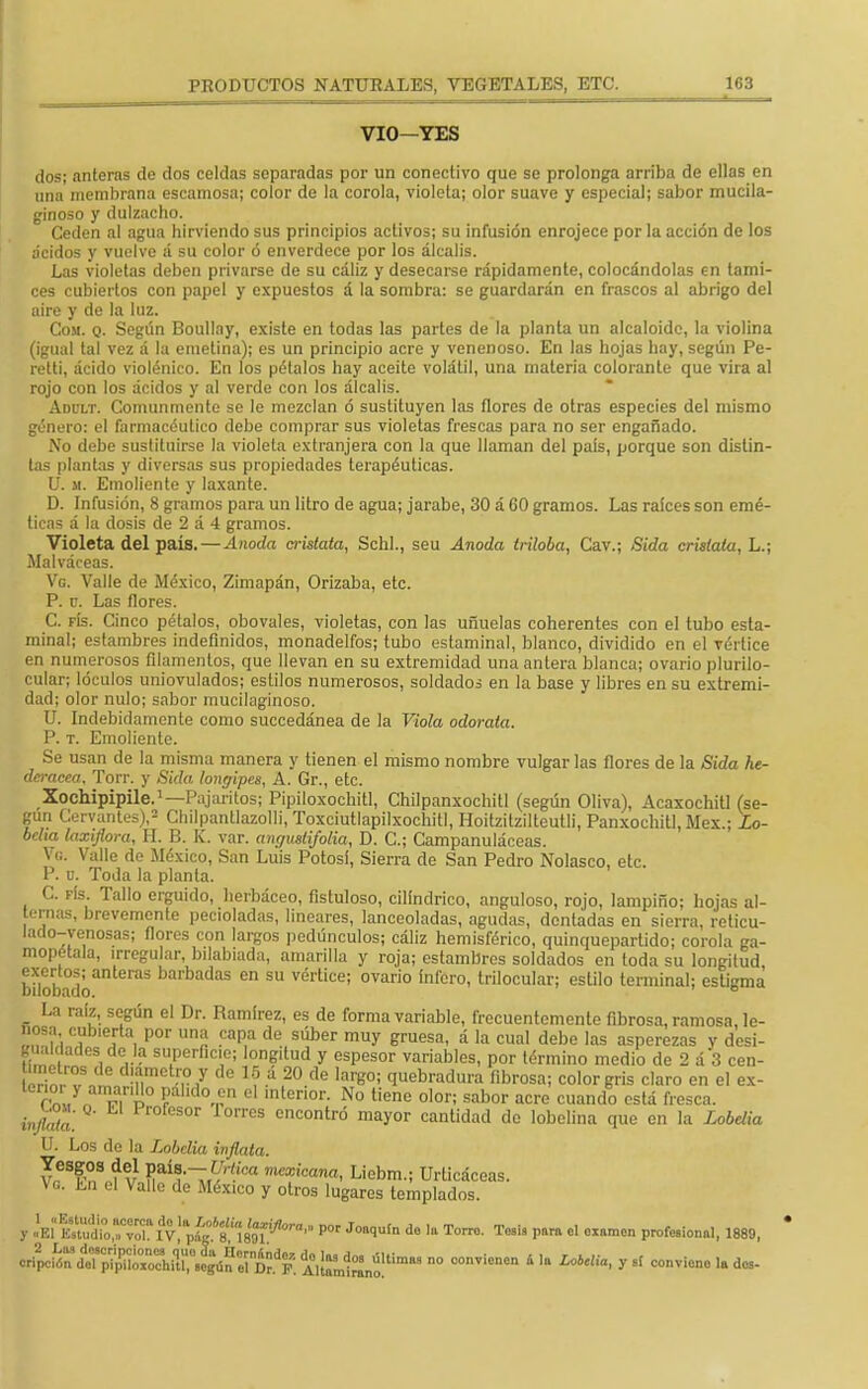 VIO—YES dos; anteras de dos celdas separadas por un conectivo que se prolonga arriba de ellas en una membrana escamosa; color de la corola, violeta; olor suave y especial; sabor mucila- ginoso y dulzacho. Ceden al agua hirviendo sus principios activos; su infusión enrojece por la acción de los ácidos y vuelve á su color ó enverdece por los álcalis. Las violetas deben privarse de su cáliz y desecarse rápidamente, colocándolas en tami- ces cubiertos con papel y expuestos á la sombra: se guardarán en frascos al abrigo del aire y de la luz. Cosí. q. Según Boullay, existe en todas las partes de la planta un alcaloide, la violina (igual tal vez á la emetina); es un principio acre y venenoso. En las hojas hay, según Pe- retti, ácido violénico. En los pétalos hay aceite volátil, una materia colorante que vira al rojo con los ácidos y al verde con los álcalis. Adult. Comunmente se le mezclan ó sustituyen las flores de otras especies del mismo género: el farmacéutico debe comprar sus violetas frescas para no ser engañado. No debe sustituirse la violeta extranjera con la que llaman del país, porque son distin- tas plantas y diversas sus propiedades terapéuticas. U. m. Emoliente y laxante. D. Infusión, 8 gramos para un litro de agua; jarabe, 30 á 60 gramos. Las raíces son emé- ticas á la dosis de 2 á 4 gramos. Violeta del país. — Anodo, cristata, Schl., seu Anodo, Iriloba, Cav.; Sida cristata, L.; Malváceas. Vg. Valle de México, Zimapán, Orizaba, etc. P. n. Las flores. C. fís. Cinco pétalos, obovales, violetas, con las uñuelas coherentes con el tubo esta- minal; estambres indefinidos, monadelfos; tubo estaminal, blanco, dividido en el vértice en numerosos filamentos, que llevan en su extremidad una antera blanca; ovario plurilo- cular; lóculos uniovulados; estilos numerosos, soldados en la base y libres en su extremi- dad; olor nulo; sabor mucilaginoso. U. Indebidamente como succedánea de la Viola odoraia. P. t. Emoliente. Se usan de la misma manera y tienen el mismo nombre vulgar las flores de la Sida he- deracea, Torr. y Sido, longipes, A. Gr., etc. Xochipipile.1—Pajaritos; Pipiloxochitl, Chilpanxochitl (según Oliva), Acaxochitl (se- gún Cervantes),2 Chilpantlazolli, Toxciutlapilxochitl, Hoitzitzilteutli, Panxochitl, Méx.; Lo- belia toxijlora, H. B. K. var. angustifolia, D. C; Campanuláceas. Ve. Valle de México, San Luis Potosí, Sierra de San Pedro Nolasco, etc. P. u. Toda la planta. C. fís Tallo erguido, herbáceo, fistuloso, cilindrico, anguloso, rojo, lampiño; hojas al- ternas, brevemente pecioladas, lineares, lanceoladas, agudas, dentadas en sierra, reticu- laclo-venosas; flores con largos pedúnculos; cáliz hemisférico, quinquepartido; corola ga- mopétala, irregular, bilabiada, amarilla y roja; estambres soldados en toda su longitud bflobado el'aS barbadaS en SU vértice; ovario ínfero' flocular; estilo terminal; estigma La raíz, según el Dr. Ramírez, es de forma variable, frecuentemente fibrosa, ramosa, le- ñosa cubierta por una capa de súber muy gruesa, á la cual debe las asperezas y desi- gualdades de la superficie; longitud y espesor variables, por término medio de 2 á 3 cen- RfB1f d!a,mot.r,° y de ^.í,20 tle lan?o; quebradura fibrosa; color gris claro en el ex- íenor y amar.Mo pálido en el rntcnor. No tiene olor; sabor acre cuando está fresca. fjfiL Profesor lorres encontró mayor cantidad de Iobelina que en la Lobdia U. Los de la Lobdia inflata. Vl^t??Íai~J>'tíCa mc*icana< Liebm-' Urticáceas. Vq. ha el Valle de México y otros lugares templados. y ¿Bl^ato1^Iv!*p§%W*ton,, P°r J°quín d° Ia Torr°- Tos¡9 pnro Ü 0X8men P**»»». 1889, lLÍfc aSfgS^aS^j^feiáftf ^1^» ytlmw no convienen 11. LoMia, y ,f conviene 1» dos-