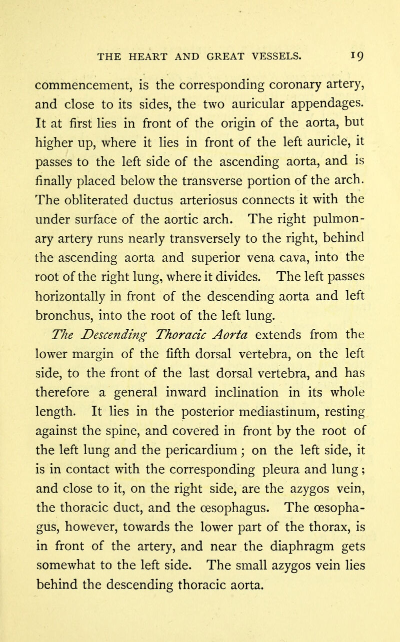 commencement, is the corresponding coronary artery, and close to its sides, the two auricular appendages. It at first lies in front of the origin of the aorta, but higher up, where it lies in front of the left auricle, it passes to the left side of the ascending aorta, and is finally placed below the transverse portion of the arch. The obliterated ductus arteriosus connects it with the under surface of the aortic arch. The right pulmon- ary artery runs nearly transversely to the right, behind the ascending aorta and superior vena cava, into the root of the right lung, where it divides. The left passes horizontally in front of the descending aorta and left bronchus, into the root of the left lung. The Descending Thoracic Aorta extends from the lower margin of the fifth dorsal vertebra, on the left side, to the front of the last dorsal vertebra, and has therefore a general inward inclination in its whole length. It lies in the posterior mediastinum, resting against the spine, and covered in front by the root of the left lung and the pericardium; on the left side, it is in contact with the corresponding pleura and lung; and close to it, on the right side, are the azygos vein, the thoracic duct, and the oesophagus. The oesopha- gus, however, towards the lower part of the thorax, is in front of the artery, and near the diaphragm gets somewhat to the left side. The small azygos vein lies behind the descending thoracic aorta.