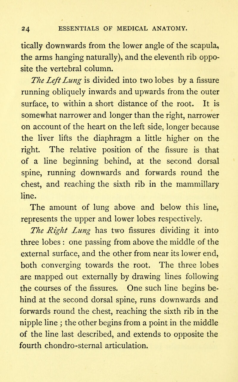 tically downwards from the lower angle of the scapula, the arms hanging naturally), and the eleventh rib oppo- site the vertebral column. The Left Lung is divided into two lobes by a fissure running obliquely inwards and upwards from the outer surface, to within a short distance of the root. It is somewhat narrower and longer than the right, narrower on account of the heart on the left side, longer because the liver lifts the diaphragm a little higher on the right. The relative position of the fissure is that of a line beginning behind, at the second dorsal spine, running downwards and forwards round the chest, and reaching the sixth rib in the mammillary line. The amount of lung above and below this line, represents the upper and lower lobes respectively. The Right Lung has two fissures dividing it into three lobes : one passing from above the middle of the external surface, and the other from near its lower end, both converging towards the root. The three lobes are mapped out externally by drawing lines following the courses of the fissures. One such line begins be- hind at the second dorsal spine, runs downwards and forwards round the chest, reaching the sixth rib in the nipple line ; the other begins from a point in the middle of the line last described, and extends to opposite the fourth chondro-sternal articulation.