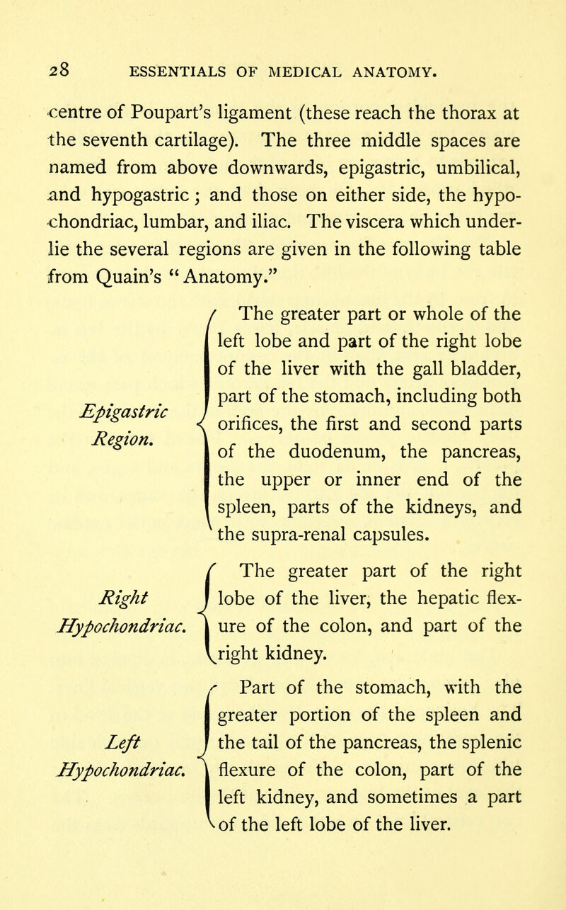 Epigastric Region, centre of Poupart's ligament (these reach the thorax at the seventh cartilage). The three middle spaces are named from above downwards, epigastric, umbilical, and hypogastric; and those on either side, the hypo- chondriac, lumbar, and iliac. The viscera which under- lie the several regions are given in the following table from Quain's Anatomy. / The greater part or whole of the left lobe and part of the right lobe of the liver with the gall bladder, part of the stomach, including both I orifices, the first and second parts of the duodenum, the pancreas, the upper or inner end of the spleen, parts of the kidneys, and ^ the supra-renal capsules. The greater part of the right lobe of the liver, the hepatic flex- ure of the colon, and part of the ^right kidney. Part of the stomach, with the greater portion of the spleen and the tail of the pancreas, the splenic flexure of the colon, part of the left kidney, and sometimes a part of the left lobe of the liver. Right Hypochondriac, Left Hypochondriac,