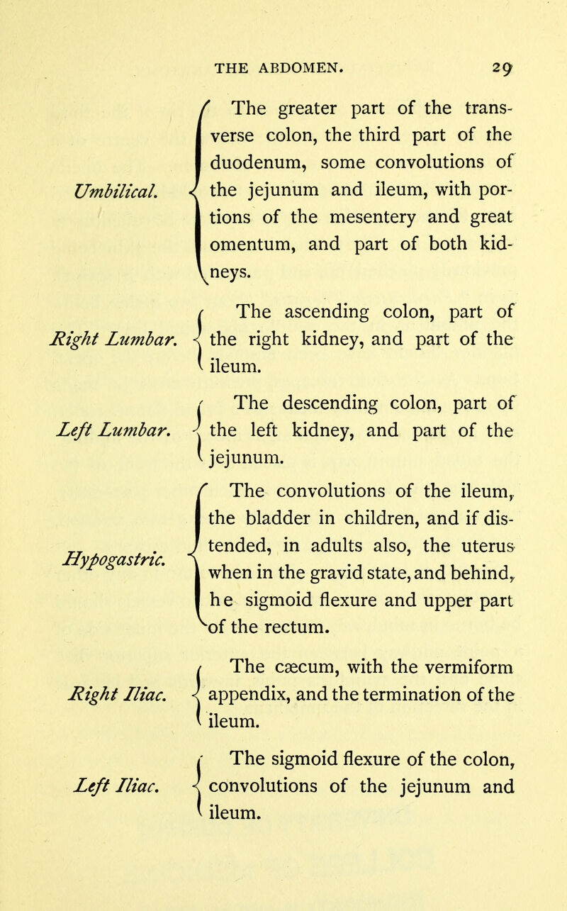(The greater part of the trans- verse colon, the third part of the duodenum, some convolutions of the jejunum and ileum, with por- tions of the mesentery and great omentum, and part of both kid- neys. The ascending colon, part of Ri^ht Lumbar, \ the right kidney, and part of the ileum. i The descending colon, part of Left Lumbar, I the left kidney, and part of the ' jejunum. fThe convolutions of the ileum,, the bladder in children, and if dis- tended, in adults also, the uterus when in the gravid state, and behind^ he sigmoid flexure and upper part of the rectum. Right Iliac, Left Iliac, The caecum, with the vermiform appendix, and the termination of the ileum. The sigmoid flexure of the colon, convolutions of the jejunum and ileum.