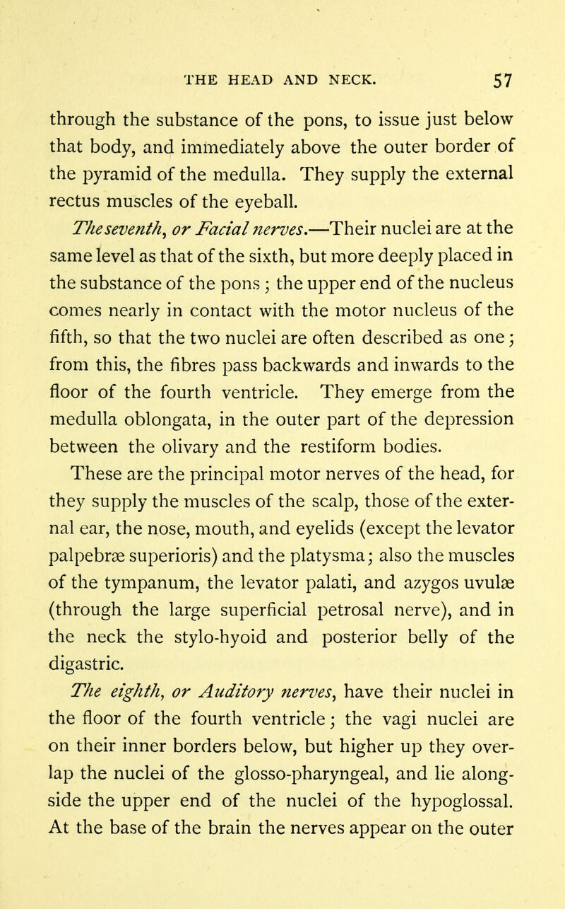 through the substance of the pons, to issue just below that body, and immediately above the outer border of the pyramid of the medulla. They supply the external rectus muscles of the eyeball. The seventh^ or Facial nerves,—Their nuclei are at the same level as that of the sixth, but more deeply placed in the substance of the pons ; the upper end of the nucleus comes nearly in contact with the motor nucleus of the fifth, so that the two nuclei are often described as one; from this, the fibres pass backwards and inwards to the floor of the fourth ventricle. They emerge from the medulla oblongata, in the outer part of the depression between the olivary and the restiform bodies. These are the principal motor nerves of the head, for. they supply the muscles of the scalp, those of the exter- nal ear, the nose, mouth, and eyelids (except the levator palpebrae superioris) and the platysma; also the muscles of the tympanum, the levator palati, and azygos uvulse (through the large superficial petrosal nerve), and in the neck the stylo-hyoid and posterior belly of the digastric. The eighth, or Auditory nerves^ have their nuclei in the floor of the fourth ventricle; the vagi nuclei are on their inner borders below, but higher up they over- lap the nuclei of the glosso-pharyngeal, and lie along- side the upper end of the nuclei of the hypoglossal. At the base of the brain the nerves appear on the outer
