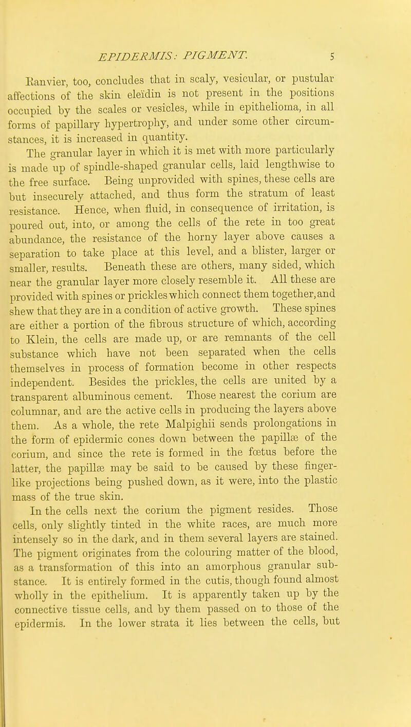 Kanvier, too, concludes that in scaly, vesicular, or pustular affections of the skin eleidin is not present in the positions occupied by the scales or vesicles, while in epithelioma, in all forms of papillary hypertrophy, and under some other circum- stances, it is increased in quantity. The granular layer in which it is met with more particularly is made up of spindle-shaped gi-anular cells, laid lengthwise to the free surface. Being unprovided with spines, these cells are but insecurely attached, and thus form the stratum of least resistance. Hence, when fluid, in consequence of irritation, is poured out, into, or among the cells of the rete in too great abundance, the resistance of the horny layer above causes a separation to take place at this level, and a blister, larger or smaller, results. Beneath these are others, many sided, which near the gramilar layer more closely resemble it. All these are provided with spines or prickles which connect them together, and shew that they are in a condition of active growth. These spines are either a portion of the fibrous structure of which, according to Klein, the cells are made up, or are remnants of the cell substance which have not been separated when the cells themselves in process of formation become in other respects independent. Besides the prickles, the cells are united by a transparent albuminous cement. Those nearest the corium are columnar, and are the active cells in producing the layers above them. As a whole, the rete Malpighii sends prolongations in the form of epidermic cones down between the papillas of the corium, and since the rete is formed in the foetus before the latter, the papillte may be said to be caused by these finger- like projections being pushed down, as it were, into the plastic mass of the true skin. In the cells next the corium the pigment resides. Those cells, only slightly tinted in the white races, are much more intensely so in the dark, and in them several layers are stained. The pigment originates from the colouring matter of the blood, as a transformation of this into an amorphous granular sub- stance. It is entirely formed in the cutis, though found almost wholly in the epithelium. It is apparently taken up by the connective tissue cells, and by them passed on to those of the epidermis. In the lower strata it lies between the cells, but