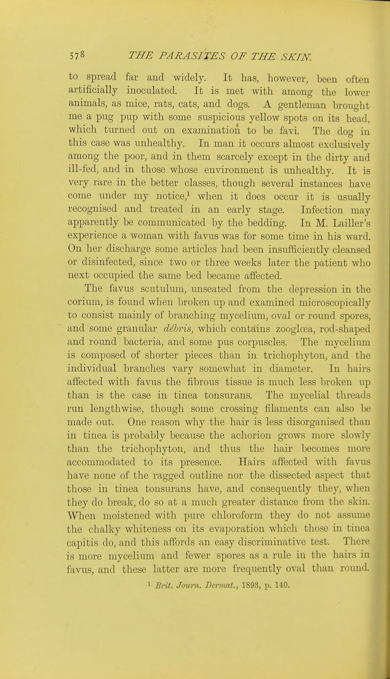 to spread far and widely. It has, however, been often artificially inoculated. It is met with among the lower animals, as mice, rats, cats, and dogs. A gentleman brought me a pug pup with some suspicious yellow spots on its head, which turned out on examination to be favi. The dog in this case was unhealthy. In man it occurs almost exclusively among the poor, and in them scarcely except in the dirty and ill-fed, and in those whose environment is unhealthy. It is very rare in the better classes, though several instances have come under my notice,^ when it does occur it is usually recognised and treated in an early stage. Infection may apparently be communicated by the bedding. In M. LaiUer's experience a woman with favus was for some time in his ward. On her discharge some articles had been insufficiently cleansed or disinfected, since two or three weeks later the patient who next occupied the same bed became affected. The favus scutulum, miseated from the depression in the corium, is found when broken up and examined microscopically to consist mainly of branching mycelium, oval or roimd spores, and some granular ddbris, which contains zooglcsa, rod-shaped and roimd bacteria, and some pus corpuscles. The mycelium is composed of shorter pieces than in trichophyton, and the individual branches vary somewhat in diameter. In hairs affected with favus the fibrous tissue is much less broken up than is the case in tinea tonsiu-ans. The mycelial threads run lengthwise, though some crossing filaments can also be made out. One reason why the hair is less disorganised than in tinea is probably because the achorion grows more slowly than the trichophyton, and thus the hair becomes more accommodated to its presence. Hairs affected with favus have none of the ragged outline nor the dissected aspect that those in tinea tonsurans have, and consequently they, when they do break, do so at a much greater distance from the skin. When moistened with pure chloroform they do not assume the chalky whiteness on its evaporation which those in tinea capitis do, and this aftbrds an easy discriminative test. There is more mycelium and fewer spores as a rule in the hairs in lavus, and these latter are more frequently oval tlian round.