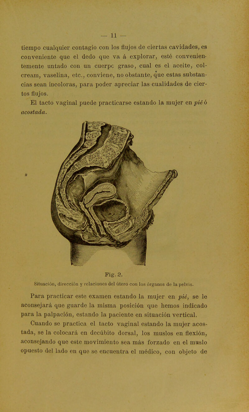 tiempo cualquier contagio con los flujos de ciertas cavidades, es conveniente que el dedo que va á explorar, esté convenien- temente untado con un cuerpo graso, cual es el aceite, col- cream, vaselina, etc., conviene, no obstante, que estas substan- cias sean incoloras, para poder apreciar las cualidades de cier- tos flujos. El tacto vaginal puede practicarse estando la mujer en pié ó acostada. Fig. S. Situación, dirección y relaciones del útero con los órganos de la pelvis. Para practicar este examen estando la mujer en pié, se le aconsejará que guarde la misma posición que hemos indicado para la palpación, estando la paciente en situación vertical. Cuando se practica el tacto vaginal estando la mujer acos- tada, se la colocará en decúbito dorsal, los muslos en flexión, aconsejando que este movimiento sea más forzado en el muslo opuesto del lado en que se encuentra el médico, con objeto de