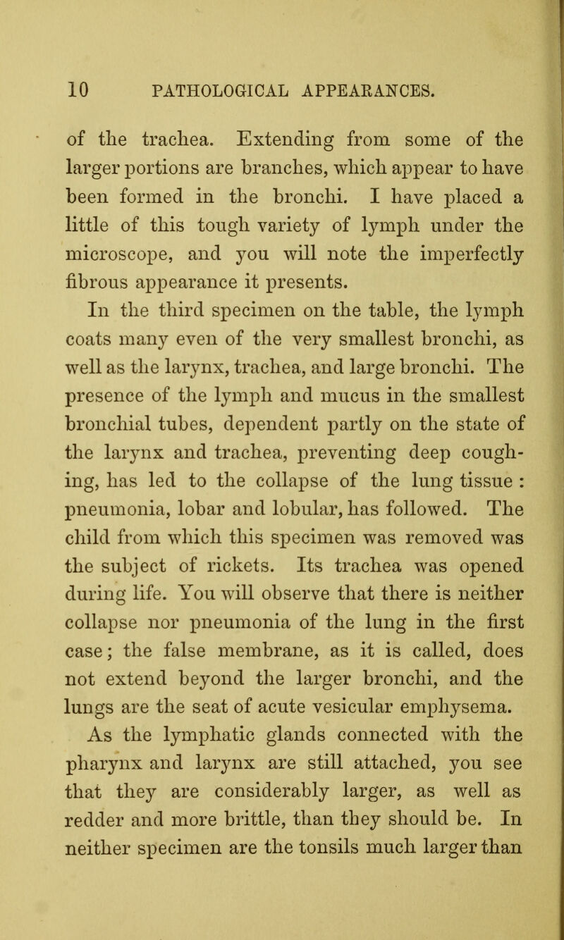 of the trachea. Extending from some of the larger portions are branches, which appear to have been formed in the bronchi. I have placed a little of this tough variety of lymph under the microscope, and you will note the imperfectly fibrous appearance it presents. In the third specimen on the table, the lymph coats many even of the very smallest bronchi, as well as the larynx, trachea, and large bronchi. The presence of the lymph and mucus in the smallest bronchial tubes, dependent partly on the state of the larynx and trachea, preventing deep cough- ing, has led to the collapse of the lung tissue : pneumonia, lobar and lobular, has followed. The child from which this specimen was removed was the subject of rickets. Its trachea was opened during life. You will observe that there is neither collapse nor pneumonia of the lung in the first case; the false membrane, as it is called, does not extend beyond the larger bronchi, and the lungs are the seat of acute vesicular emphysema. As the lymphatic glands connected with the pharynx and larynx are still attached, you see that they are considerably larger, as well as redder and more brittle, than they should be. In neither specimen are the tonsils much larger than