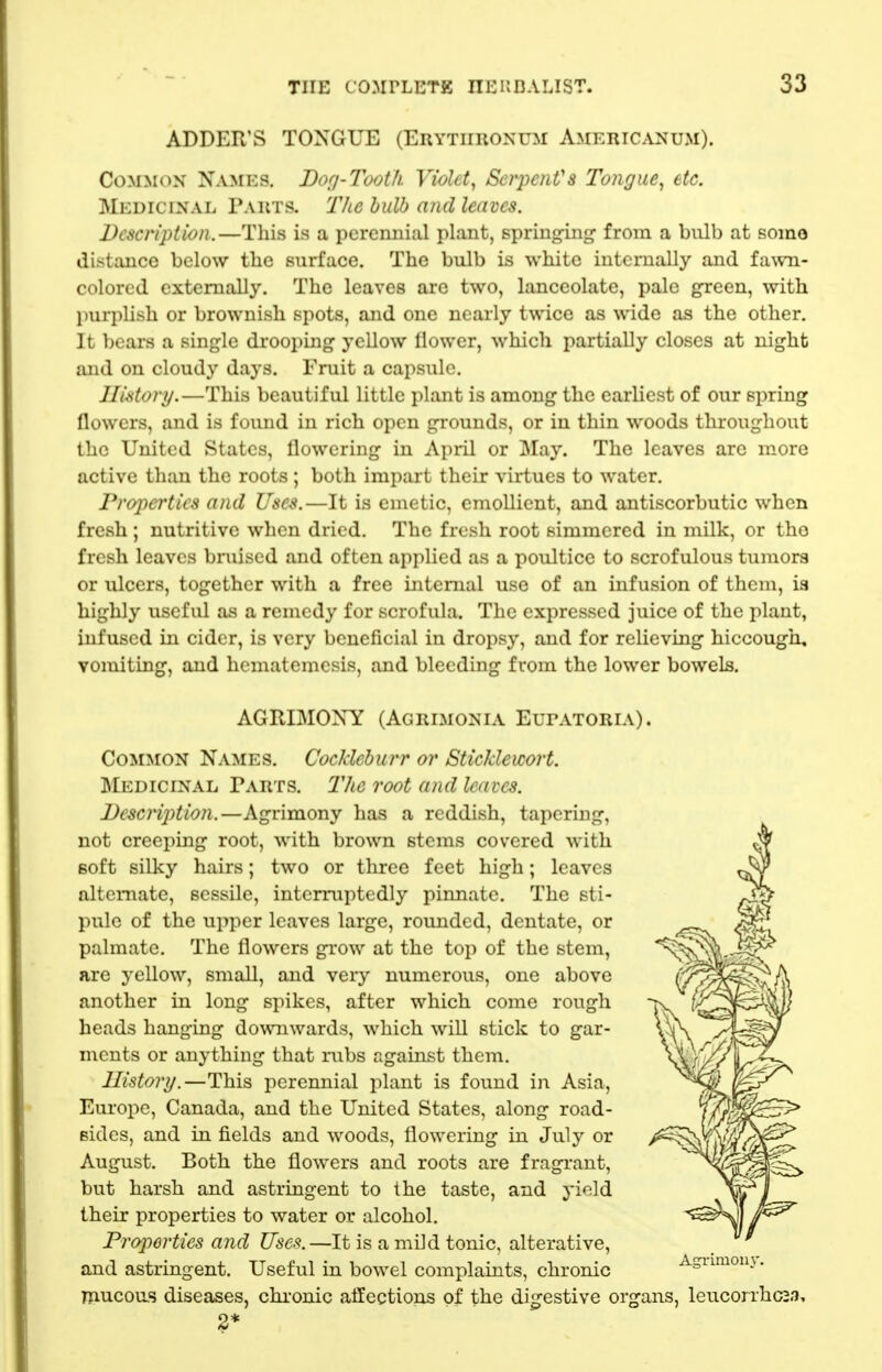 ADDER'S TONGUE (Erythronum Americ.v^^um). Common Names. Dog-Tooth Violet, Serpent's Tongue, etc. Medicinal Parts. The bulb and leaves. Description.—This is a perennial plant, springing from a bulb at somo distance below the surface. The bulb is white internally and fawn- colored externally. The leaves arc two, lanceolate, pale green, with })urplish or brownish spots, and one nearly twice as wide as the other. It bears a single drooping yellow llower, which partially closes at night and on cloudy days. Fruit a capsule. Jlistory.—This beautiful little plant is among the earliest of our spring flowers, and is found in rich open grounds, or in thin woods throughout the United States, flowering in April or May. The leaves are more active than the roots; both impart their virtues to water. Properties and Uses.—It is emetic, emollient, and antiscorbutic when fresh ; nutritive when dried. The fresh root simmered in milk, or tho fresh leaves bruised and often applied as a poultice to scrofulous tumors or ulcers, together with a free internal use of an infusion of them, is highly useful as a remedy for scrofula. The expressed juice of the plant, infused in cider, is very beneficial in dropsy, and for relieving hiccough, voiruting, and hcmatemesis, and bleeding from the lower bowels. AGRIMONY (Agrimonia EurATORiA). Common Names. Cocklebitrr or Sticklewort. Medicinal Parts, llie root and leaves. Uescription.—Agrimony has a reddish, tapering, not creeping root, with brown stems covered with soft silky hairs; two or three feet high; leaves alternate, sessile, interruptedly pinnate. The sti- pule of the upper leaves large, rounded, dentate, or palmate. The flowers grow at the top of the stem, are yellow, small, and very numerous, one above another in long spikes, after which come rough heads hanging downwards, which will stick to gar- ments or anything that rubs against them. History.—This perennial plant is found in Asia, Europe, Canada, and the United States, along road- sides, and in fields and woods, flowering in July or August. Both the flowers and roots are fragrant, but harsh and astringent to the taste, and yield their properties to water or alcohol. Properties and Usef(.—It is a mild tonic, alterative, and astringent. Useful in bowel complaints, chronic mucous diseases, chronic affections of the digestive organs, leucorrhcss.
