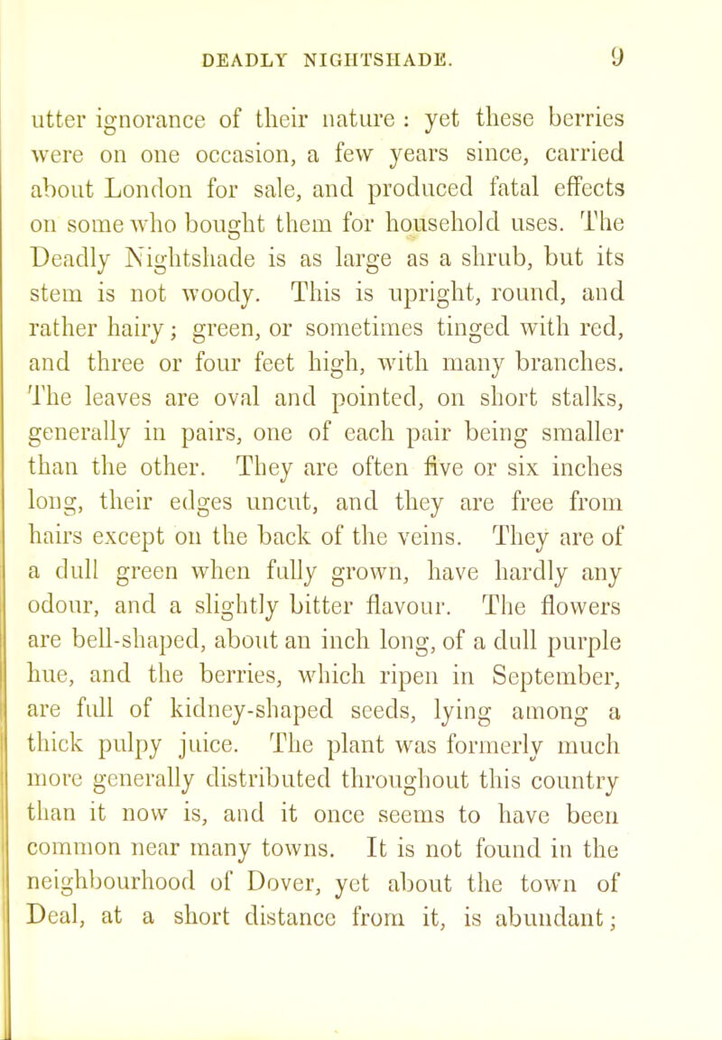 utter ignorance of their nature : yet these berries were on one occasion, a few years since, carried about London for sale, and produced fatal effects on some who bought them for household uses. The Deadly Nightshade is as large as a shrub, but its stem is not woody. This is upright, round, and rather hairy; green, or sometimes tinged with red, and three or four feet high, with many branches. The leaves are oval and pointed, on short stalks, generally in pairs, one of each pair being smaller than the other. They are often five or six inches long, their edges uncut, and they are free from hairs except on the back of the veins. They are of a dull green when fully grown, have hardly any odour, and a slightly bitter flavour. The flowers are bell-shaped, about an inch long, of a dull purple hue, and the berries, which ripen in September, are full of kidney-shaped seeds, lying among a thick pulpy juice. The plant was formerly much more generally distributed throughout this country than it now is, and it once seems to have been common near many towns. It is not found in the neighbourhood of Dover, yet about the town of Deal, at a short distance from it, is abundant; i