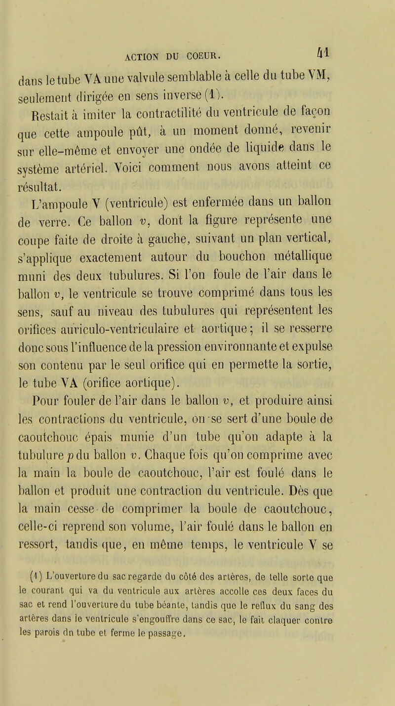 dans le tube VA une valvule semblable à celle du tube VM, seulement dirigée en sens inverse (1). Restait à imiter la contractilité du ventricule de façon que cette ampoule pût, à un moment donné, revenir sur elle-même et envoyer une ondée de liquide dans le système artériel. Voici comment nous avons atteint ce résultat. L'ampoule V (ventricule) est enfermée dans un ballon de verre. Ce ballon v, dont la figure représente une coupe faite de droite à gauche, suivant un plan vertical, s'applique exactement autour du bouchon métallique muni des deux tubulures. Si l'on foule de l'air dans le ballon v, le ventricule se trouve comprimé dans tous les sens, sauf au niveau des tubulures qui représentent les orifices auriculo-ventriculaire et aortique ; il se resserre donc sous l'influence de la pression environnante et expulse son contenu par le seul orifice qui en permette la sortie, le tube VA (orifice aortique). Pour fouler de l'air dans le ballon v, et produire ainsi les contractions du ventricule, on se sert d'une boule de caoutchouc épais munie d'un tube qu'on adapte à la tubulure pdu ballon v. Chaque fois qu'on comprime avec la main la boule de caoutchouc, l'air est foulé dans le ballon et produit une contraction du ventricule. Dès que la main cesse de comprimer la boule de caoutchouc, celle-ci reprend son volume, l'air foulé dans le ballon en ressort, tandis que, en même temps, le ventricule V se (1) L'ouverture du sac regarde du côté des artères, de telle sorte que le courant qui va du ventricule aux artères accolle ces deux laces du sac et rend l'ouverture du tube béante, tandis que le rellux du sang des artères dans le ventricule s'engouffre dans ce sac, le fait claquer contre les parois dn tube et ferme lo passage.