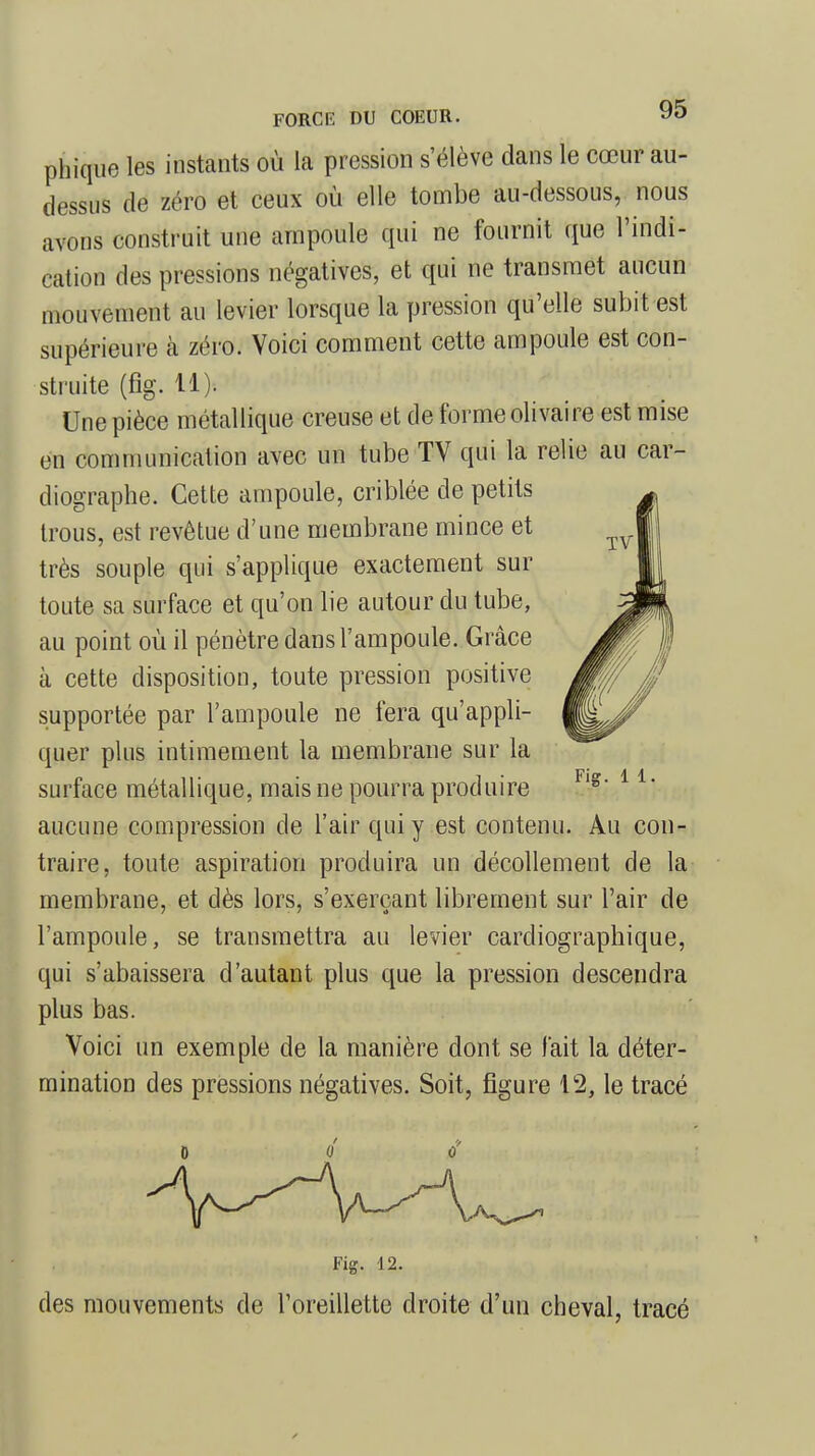 phique les instants où la pression s'élève dans le cœur au- dessus de zéro et ceux où elle tombe au-dessous, nous avons construit une ampoule qui ne fournit que l'indi- cation des pressions négatives, et qui ne transmet aucun mouvement au levier lorsque la pression qu'elle subit est supérieure à zéro. Voici comment cette ampoule est con- struite (fig. 11). Une pièce métallique creuse et de forme olivaire est mise en communication avec un tube TV qui la relie au car- diographe. Cette ampoule, criblée de petits trous, est revêtue d'une membrane mince et très souple qui s'applique exactement sur toute sa surface et qu'on lie autour du tube, au point où il pénètre dans l'ampoule. Grâce à cette disposition, toute pression positive supportée par l'ampoule ne fera qu'appli- quer plus intimement la membrane sur la surface métallique, mais ne pourra produire aucune compression cle l'air qui y est contenu. Au con- traire, toute aspiration produira un décollement de la membrane, et dès lors, s'exerçant librement sur l'air de l'ampoule, se transmettra au levier cardiographique, qui s'abaissera d'autant plus que la pression descendra plus bas. Voici un exemple de la manière dont se fait la déter- mination des pressions négatives. Soit, figure 12, le tracé Fig. 12. des mouvements de l'oreillette droite d'un cheval, tracé