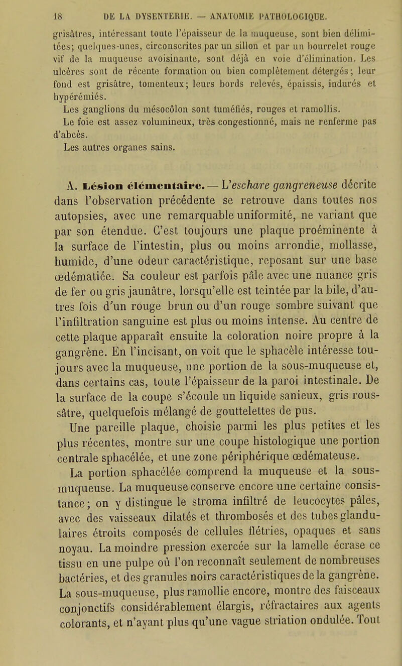 grisâtres, intéressant toute l'épaisseur de la muqueuse, sont bien délimi- tées; quelques-unes, circonscrites par un sillon et par un bourrelet rouge vif de la muqueuse avoisinante, sont déjà en voie d'élimination. Les ulcères sont de récente formation ou bien complètement détergés ; leur fond est grisâtre, tomenteux; leurs bords relevés, épaissis, indurés et bypérémiés. Les ganglions du mésocôlon sont tuméliés, rouges et ramollis. Le foie est assez volumineux, très congestionné, mais ne renferme pas d'abcès. Les autres organes sains. A. liésion élémentaire. — Veschare gangreneuse décrite dans robservation précédente se retrouve dans toutes nos autopsies, avec une remarquable uniformité, ne variant que par son étendue. C'est toujours une plaque proéminente à la surface de l'intestin, plus ou moins arrondie, mollasse, humide, d'une odeur caractéristique, reposant sur une base œdématiée. Sa couleur est parfois pâle avec une nuance gris de fer ou gris jaunâtre, lorsqu'elle est teintée par la bile, d'au- tres fois d'un rouge brun ou d'un rouge sombre suivant que l'infiltration sanguine est plus ou moins intense. Au centre de cette plaque apparaît ensuite la coloration noire propre à la gangrène. En l'incisant, on voit que le sphacèle intéresse tou- jours avec la muqueuse, une portion de la sous-muqueuse et, dans certains cas, toute l'épaisseur de la paroi intestinale. De la surface de la coupe s'écoule un liquide sanieux, gris rous- sâtre, quelquefois mélangé de gouttelettes de pus. Une pareille plaque, choisie parmi les plus petites et les plus récentes, montre sur une coupe histologique une portion centrale sphacélée, et une zone périphérique œdémateuse. La portion sphacélée comprend la muqueuse et la sous- muqueuse. La muqueuse conserve encore une certaine consis- tance ; on y distingue le stroma infiltré de leucocytes pâles, avec des vaisseaux dilatés et thrombosés et des tubes glandu- laires étroits composés de cellules flétries, opaques et sans noyau. La moindre pression exercée sur la lamelle écrase ce tissu en une pulpe où l'on reconnaît seulement de nombreuses bactéries, et des granules noirs caractéristiques de la gangrène. La sous-muqueuse, plus ramollie encore, montre des faisceaux conjonctifs considérablement élargis, réfractaires aux agents colorants, et n'ayant plus qu'une vague striation ondulée. Tout