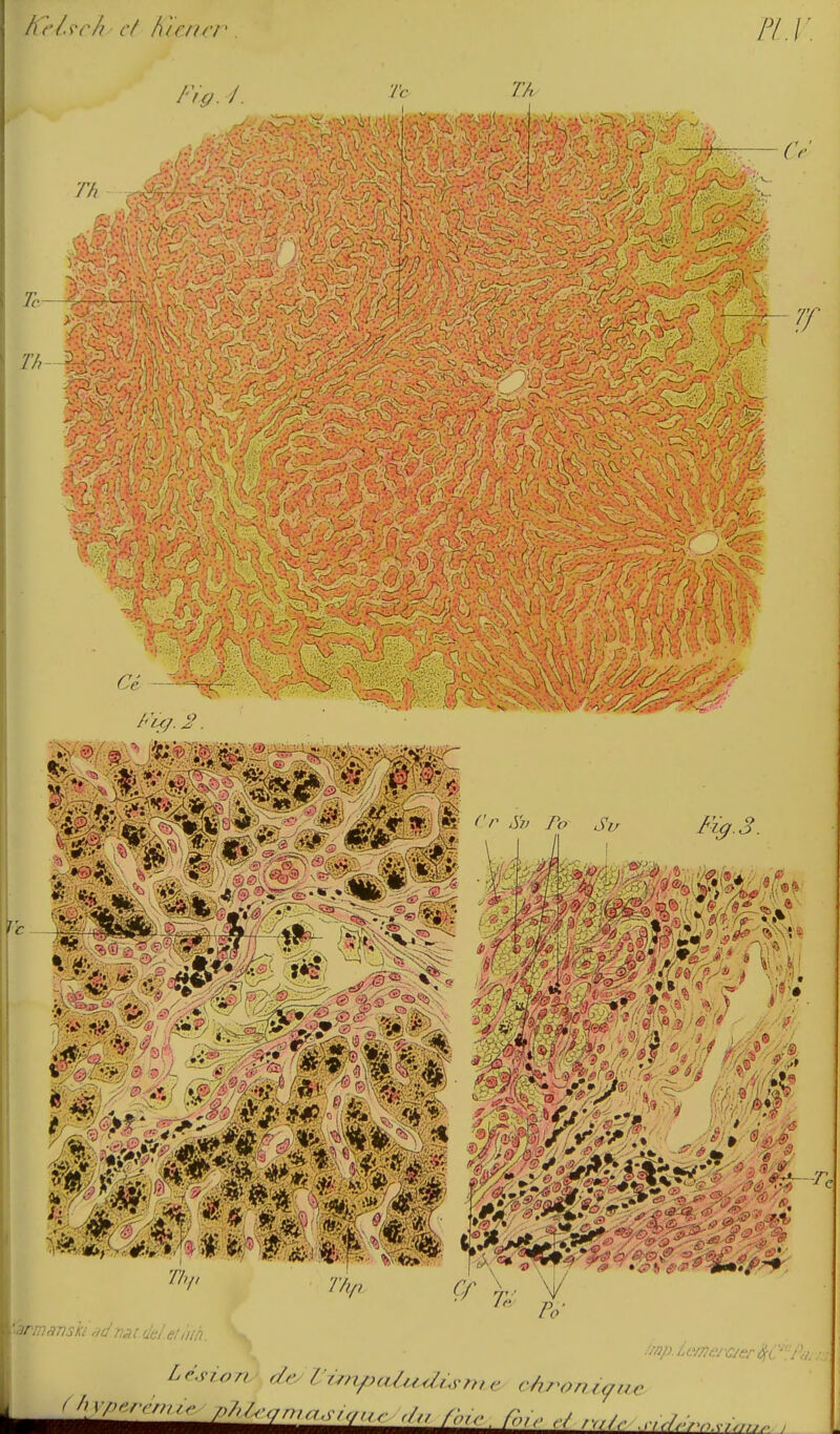 At'/.i'r/i c( hifuri' FLl Th Fig.J. -J'^-- Te