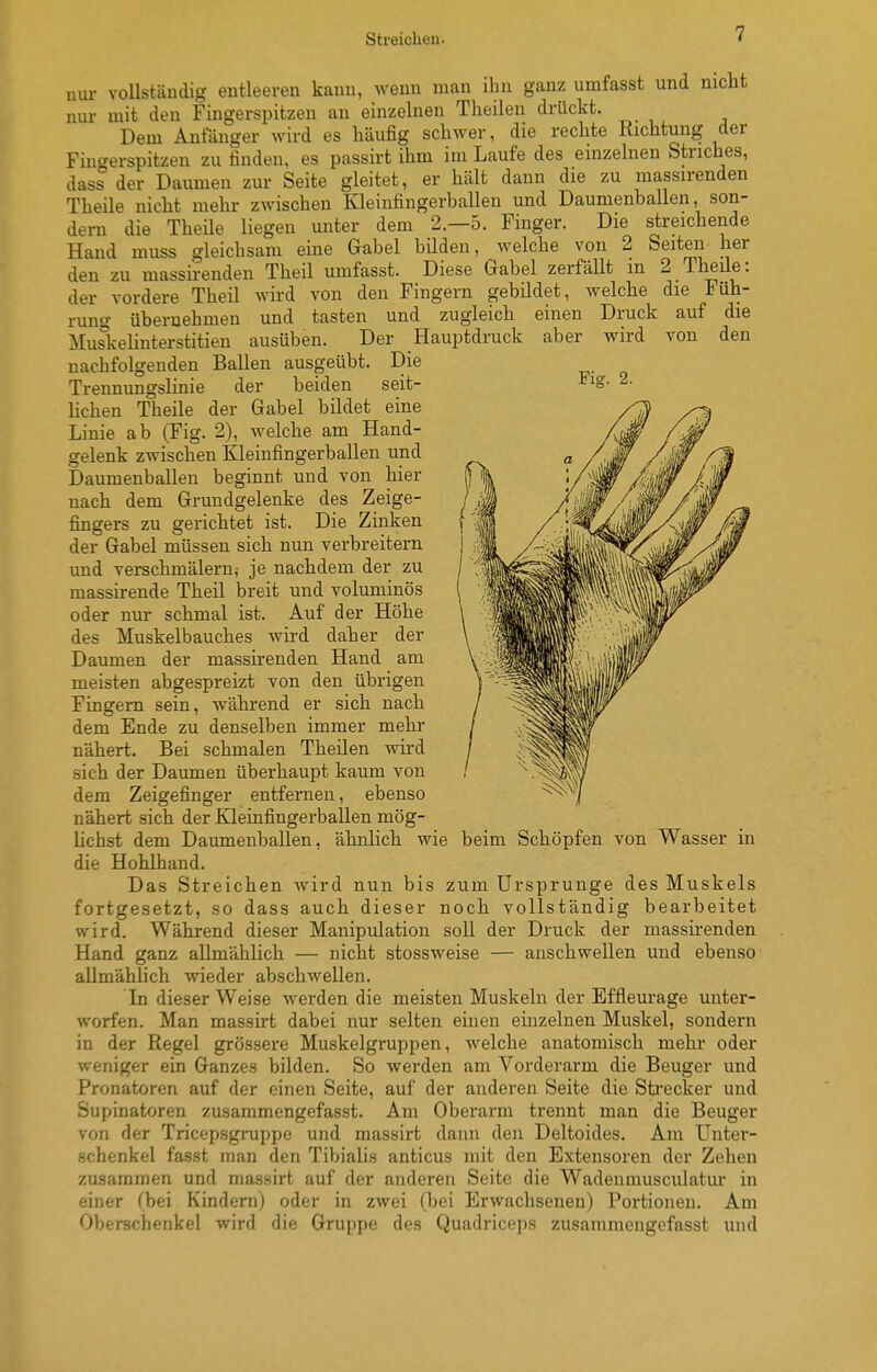 Fig. 2. um- vollständig entleeren kann, wenn man ihn ganz umfasst und nicht nur mit den Fingerspitzen an einzelnen Theilen drückt. Dem Anfänger wird es liäufig schwer, die rechte Richtung der Fincrerspitzen zu finden, es passirt ihm im Laufe des einzelnen Striches, dass der Daumen zur Seite gleitet, er hält dann die zu massirenden Theile nicht mehr zwischen Kleinfingerballen und Daumenballen, son- dern die Theile liegen unter dem 2.-5. Finger. Die streichende Hand muss gleichsam eine Gabel bilden, welche von 2 Seiten her den zu massirenden Theil umfasst. Diese Gabel zerfällt m 2 Theüe: der vordere Theil wird von den Fingern gebildet, welche die Füh- rung übernehmen und tasten und zugleich einen Druck auf die Muskehnterstitien ausüben. Der Hauptdruck aber wird von den nachfolgenden Ballen ausgeübt. Die Trennungslinie der beiden seit- lichen Theile der Gabel bildet eine Linie ab (Fig. 2), welche am Hand- gelenk zwischen Kleinfingerballen und Daumenballeu beginnt und von hier nach dem Grundgelenke des Zeige- fingers zu gerichtet ist. Die Zinken der Gabel müssen sich nun verbreitern und verschmälern,- je nachdem der zu massirende Theil breit und voluminös oder nur schmal ist. Auf der Höhe des Muskelbauches wird daher der Daumen der massirenden Hand am meisten abgespreizt von den übrigen Fingern sein, während er sich nach dem Ende zu denselben immer mehr nähert. Bei schmalen Theilen wird sich der Daumen überhaupt kaum von dem Zeigefinger entfernen, ebenso nähert sich der Kleinfingerballen mög- Hchst dem Daumenballen, ähnlich wie beim Schöpfen von Wasser in die Hohlhand. Das Streichen wird nun bis zum Ursprünge des Muskels fortgesetzt, so dass auch dieser noch vollständig bearbeitet wird. Während dieser Manipulation soll der Druck der massu-enden Hand ganz allmählich — nicht stossweise — anschwellen und ebenso allmählich wieder abschwellen. In dieser Weise werden die meisten Muskeln der Effleurage unter- worfen. Man massirt dabei nur selten einen einzelnen Muskel, sondern in der Regel grössere Muskelgruppen, welche anatomisch mehr oder weniger ein Ganzes bilden. So werden am Vorderarm die Beuger und Pronatoren auf der einen Seite, auf der anderen Seite die Sti'ecker und Supinatoren zusammengefasst. Am Oberarm trennt man die Beuger von der Tricepsgruppe und massirt dann den Deltoides. Am Unter- schenkel fasst man den Tibialis anticus mit den Extensoren der Zehen zusammen und massirt auf der anderen Seite die Wadenmusculatur in einer (bei Kindern; oder in zwei (bei Erwachsenen) Portionen. Am Oberschenkel wird die Gruppe des Quadriceps zusammengefasst und