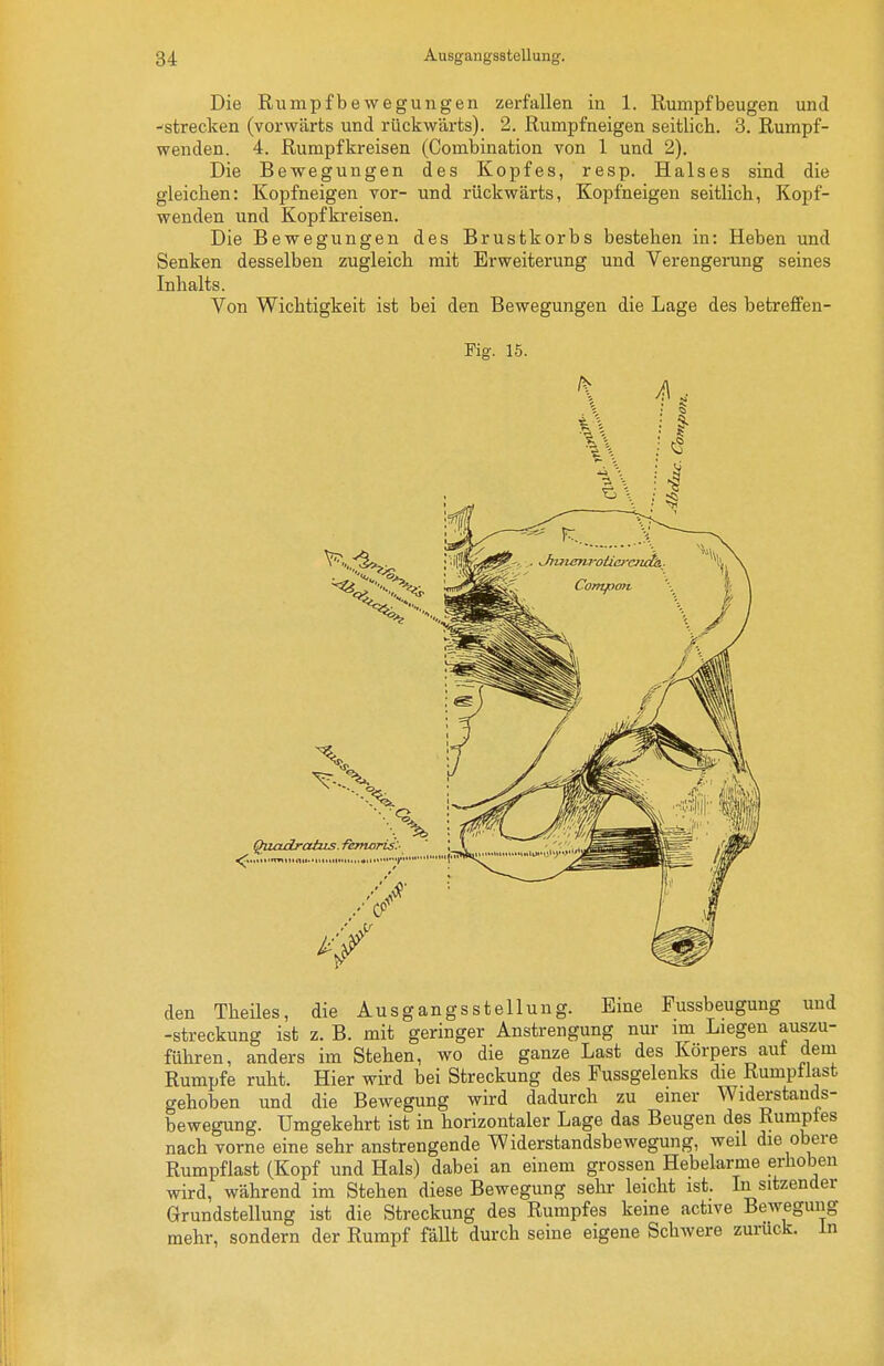 Die Rumpfbewegungen zerfallen in 1. Rumpfbeugen und ^strecken (vorwärts und rückwärts). 2. Rumpfneigen seitlich. 3. Rumpf- wenden. 4. Rumpfkreisen (Combination von 1 und 2). Die Bewegungen des Kopfes, resp. Halses sind die gleichen: Kopfneigen vor- und rückwärts, Kopfneigen seitlich, Kopf- wenden und Kopfkreisen. Die Bewegungen des Brustkorbs bestehen in: Heben und Senken desselben zugleich mit Erweiterung und Verengerung seines Inhalts. Von Wichtigkeit ist bei den Bewegungen die Lage des betreffen- Fig. 15. 1^ A Quadrcthis .femoris:- ''^tt-n^ den Theiles, die Ausgangsstellung. Eine Fussbeugung und -Streckung ist z. B. mit geringer Anstrengung nur im Liegen auszu- führen, anders im Stehen, wo die ganze Last des Körpers aut dem Rumpfe ruht. Hier wird bei Streckung des Pussgelenks die Rumptlast gehoben und die Bewegung wird dadurch zu einer Widerstands- bewegung. Umgekehrt ist in horizontaler Lage das Beugen des Rumptes nach vorne eine sehr anstrengende Widerstandsbewegung, weil die obere Rumpflast (Kopf und Hals) dabei an einem grossen Hebelarme erhoben wird, während im Stehen diese Bewegung sehr leicht ist. In sitzender Grundstellung ist die Streckung des Rumpfes keine active Bewegung mehr, sondern der Rumpf fällt durch seine eigene Schwere zurück, in