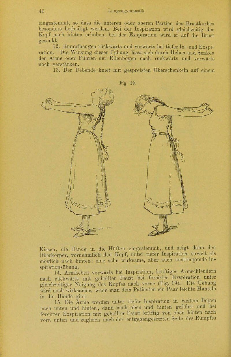 eingestemmt, so dass die unteren oder oberen Partien des Brustkorbes besonders betheiligt werden. Bei der Inspiration wird gleichzeitig der Kopf nach hinten erhoben, bei der Exspiration wird er auf die Brust gesenkt. 12. Rumpfbeugen rückwärts und vorwärts bei tiefer In- und Exspi- ration. Die Wirkung dieser Uebung lässt sich durch Heben und Senken der Arme oder Führen der Ellenbogen nach rückwärts und vorwärts noch verstäi'ken. 13. Der Uebende kniet mit gespreizten Oberschenkeln auf einem Fiff. 19. Kissen, die Hände in die Hüften eingestemmt, und neigt dann den Oberkörper, vornehmlich den Kopf, unter tiefer Inspiration soweit als möglich nach hinten; eine sehr wirksame, aber auch anstrengende In- spii'ationsübung. 14. Armheben vorwärts bei Inspiration, kräftiges Armschleudern nach rückwärts mit geballter Faust bei forcirter Exspii-ation unter gleichzeitiger Neigung des Kopfes nach vorne (Fig. 19). Die üebung vidrd noch wirksamer, wenn mau dem Patienten ein Paar leichte Hanteln in die Hände gibt. 15. Die Arme werden unter tiefer Inspiration in weitem Bogen nach unten und hinten, dann nach oben imd hinten geführt und bei forcirter Exspiration mit geballter Faust kräftig von oben hinten nach vorn unten und zugleich nach der entgegengesetzten Seite des Rumpfes