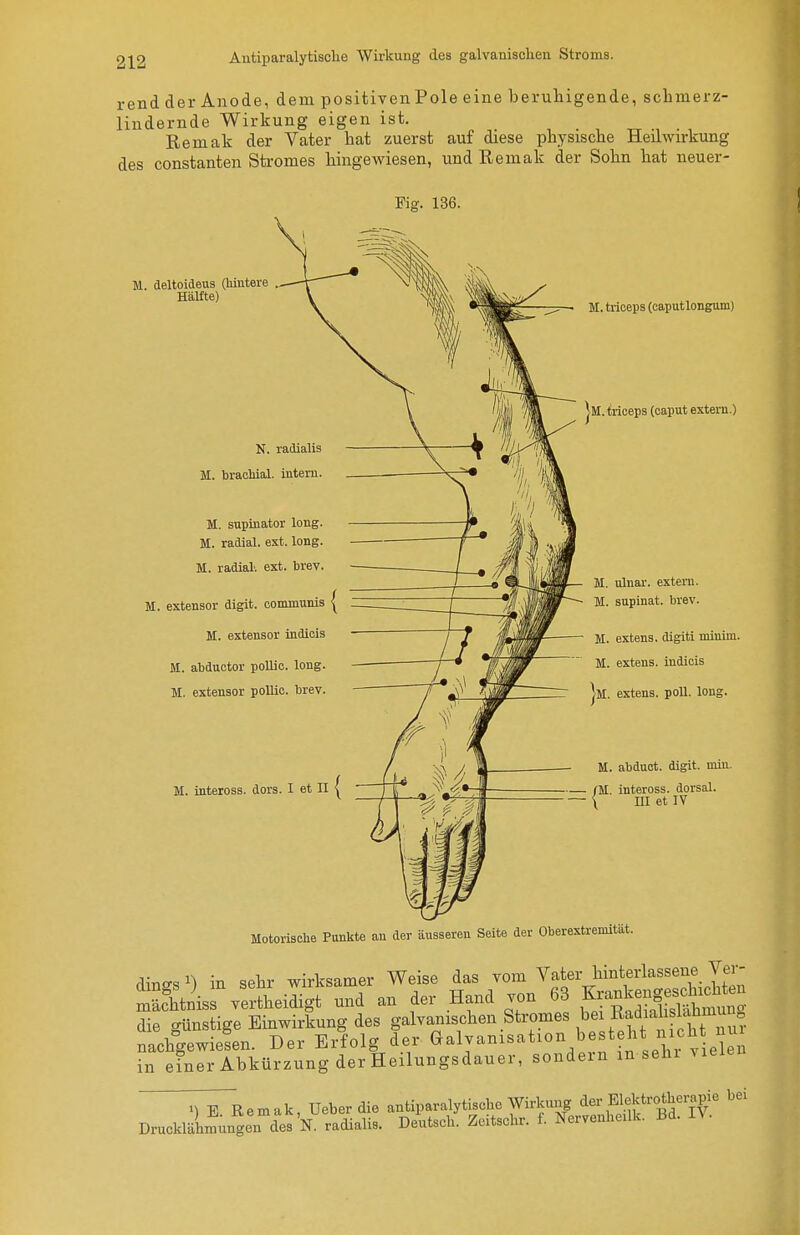 rend der Anode, dem positiven Pole eine beruhigende, schmerz- lindernde Wirkung eigen ist. Remak der Vater hat zuerst auf diese physische Heilwirkung des Constanten Stromes hingewiesen, und Remak der Sohn hat neuer- Fig. 136. m. deltoideus (hintere . Hälfte) N, radialis M. traoMal. intern. M. supinator long. M. radial, ext. long. M. radial, ext. trev. M. extensor digit. communis | M. extensor indiois M. abductor pollic. long. M. extensor pollic. brev. M. inteross. dors. I et II | M. triceps (caputlongum) |m. teceps (Caput extern.) M. ulnar, extern. M. supinat. brev. M. extens. digiti minim. M. extens. indiois |m. extens. poll. long. M. abduct. digit. min. fM, inteross. dorsal. \ III et IV Motorische Punkte an der äusseren Seite der Oberextremität. rlincrs ^ in Sehr wirksamer Weise das vom Vater hinterlassene_ Ver- Stnis wSeiS und an der Hand von 63 Krankeng^^^^^^^^^ die günstige Einwirkung des galvanischen Stromes bei Radiah lahmu^^^ nachlewiefen. Der Erfolg der ^^-l-^i-^-^/^f ^^^ehr v e n in efner Abkürzung der Heilungsdauer, sondern m sehr vieiei M V Remak Ueber die antiparalytische Wirkung der Elektrotherapie bei Drucklälmun^geTde^K fadialis. DeUsch' Zeitsohr. f. Nerveuheük. Bd. IV.