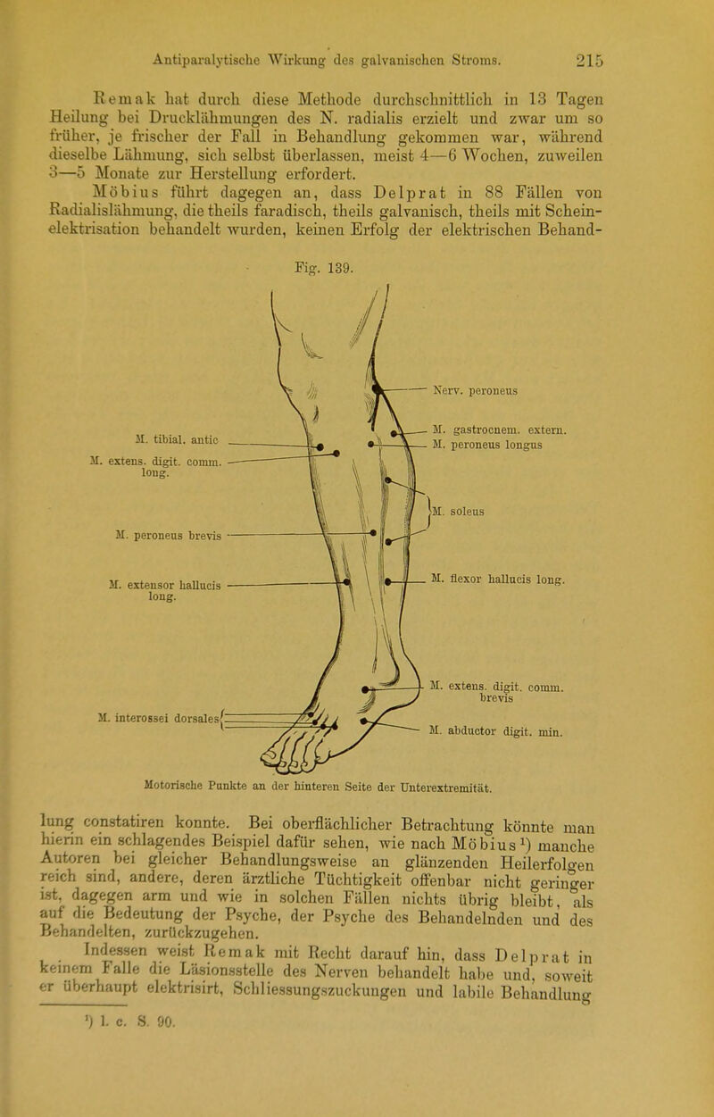 Remak bat durcli diese Methode durchsclinittlicli in 13 Tagen Heilung bei Druckläbmungen des N. radialis erzielt und zwar um so trüber, je friscber der Fall in Behandlung gekommen war, während dieselbe Lähmung, sich selbst überlassen, meist 4—6 Wochen, zuweilen 3—5 Monate zur Herstellung erfordert. Möbius führt dagegen an, dass Delprat in 88 Fällen von Radialislähmung, die theils faradisch, theils galvanisch, theils mit Schein- elektrisation behandelt wurden, keinen Erfolg der elektrischen Behand- Fig. 139. Motorische Punkte an der hinteren Seite der Unterextremität. lung constatiren konnte. Bei obei-flächlicher Betrachtung könnte man hierin ein schlagendes Beispiel dafür sehen, wie nach Möbiusmanche Autoren bei gleicher Behandlungsweise an glänzenden Heilerfolgen reich sind, andere, deren ärztliche Tüchtigkeit offenbar nicht geringer ist, dagegen arm und wie in solchen Fällen nichts übrig bleibt als auf die Bedeutung der Psyche, der Psyche des Behandelnden und des Behandelten, zurückzugehen. Indessen wei.st Kemak mit Recht darauf hin, dass Delprat in keinem Falle die Läsionsstelle des Nerven behandelt habe und, soweit er überhaupt elektrisirt, Schliessungszuckungen und labile Behandlung ') 1. c. S. 90.