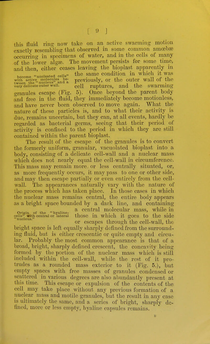 this fluid ring now take on an active swarming motion exactly resembling that observed in some common amoebae occurring in specimens of water, and in the cells of niany of the lower algse. The movement persists for some time, and then, either' ceases leaving the bioplast apparently in » i.ot.H the same condition in which it was become nucleated cells _ ^^ e 1.1 with active molecules be- p^eVlOUSlv, Or the OUtcr Wall 01 tllC tween the nucleus ana a x ' i very deucate outer wau. rupturcs, and the swarmmg granules escape (Fig. 5). Once beyond the parent body and free in the fluid, they immediately become motionless, and have never been observed to move again. What the nature of these particles is, and to what their activity is due, remains uncertain, but they can, at all events, hardly be regarded as bacterial germs, seeing that their period of activity is confined to the period in which they are still contained within the parent bioplast. The result of the escape of the granules is to convert the formerly uniform, granular, vacuolated bioplast into a body, consisting of a delicate cell-wall and a nuclear mass which does not nearly equal the cell-wall in circumference. This mass may remain more or less centrally situated, or, as more frequently occurs, it may pass to one or other side, and may then escape partially or even entirely from the cell- wall. The appearances naturally vary with the nature of the process which has taken place. In those cases in which the nuclear mass remains central, the entire body appears as a bright space bounded by a dark line, and containing „, a central molecular mass, while in Origin of the hyaline- , . i-i-j i ^^ • i ceUs with central or lateral thOSC in Whlcll it £?OeS tO tllC Side nucleus ~ or escapes through the cell-wall, the bright space is left equally sharply defined from the surround- ing fluid, but is either crescentic or quite empty and circu- lar. Probably the most common appearance is that of a broad, bright, sharply defined crescent, the concavity being formed by the portion of the nuclear mass which is still included within the cell-wall, while the rest of it pro- trudes as a rounded mass exterior to it (Eig. 5.), but empty spaces with free masses of granules condensed or scattered in various degrees are also abundantly present at this time. This escape or expulsion of the contents of the cell may take place without any previous formation of a nuclear mass and motile granules, but the result in any case is ultimately the same, and a series of bright, sharply de- fined, more or less empty, hyaline capsules remains.