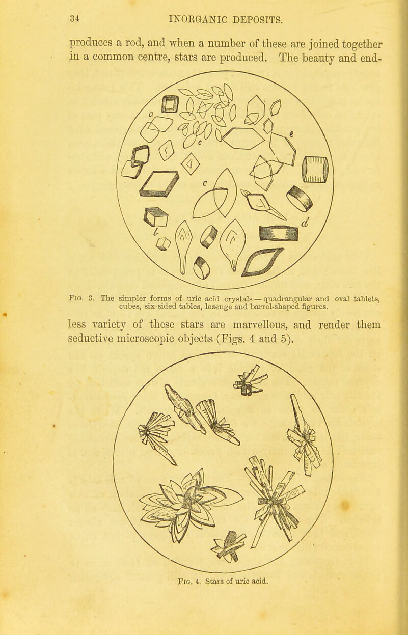 produces a rod, and when a number of these are joined together in a common centre, stars are produced. The beauty and end- Fro. 3. The simpler forms of uric acid crystals — quadrangular and oval tablets, cubes, six-sided tables, lozenge and barrel-shaped figures. less variety of these stars are marvellous, and render them seductive microscopic objects (Figs. 4 and 5). Fia. 4. Stars of uric acid.