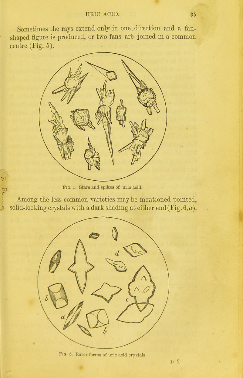 Sometimes the rays extend only in one. direction and a fan- shaped figure is produced, or two fans are joined in a common centre (Fig. 5). Fig. 5. Stars and spikes of uric acid. Among the less common varieties may be mentioned pointed, solid-looking crystals with a dark shading at either end (Fig. 6, a). Via. 6. Rarer forms of uric acid crystals. ]» 2