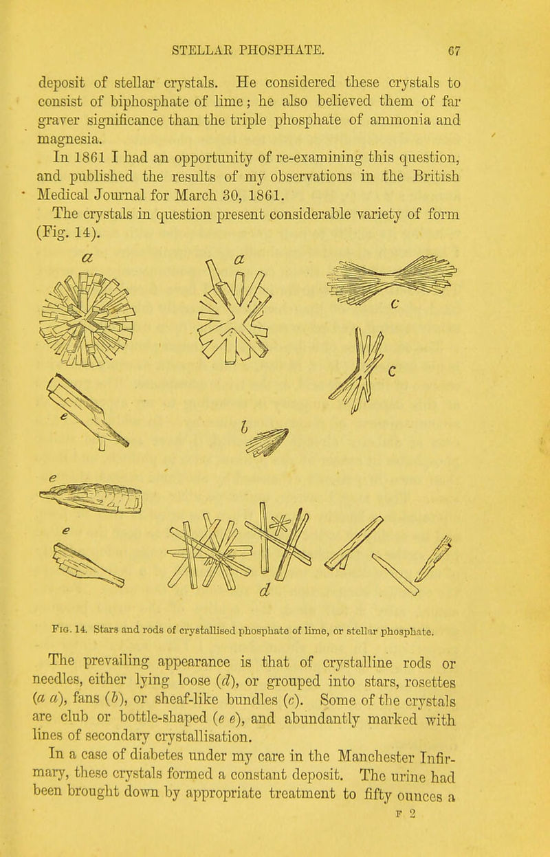 deposit of stellar crystals. He considered these crystals to consist of triphosphate of lime; he also believed them of far graver significance than the triple phosphate of ammonia and magnesia. In 1861 I had an opportunity of re-examining this question, and published the results of my observations in the British * Medical Journal for March 30, 1861. The crystals in question present considerable variety of form (Fig. 14). Fio. 14. Stars and rods of crystallised phosphate of lime, or stellar phosphate. The prevailing appearance is that of crystalline rods or needles, either lying loose (d), or grouped into stars, rosettes (« a), fans (&), or sheaf-like bundles (c). Some of the crystals are club or bottle-shaped (e e), and abundantly marked with lines of secondary crystallisation. In a case of diabetes under my care in the Manchester Infir- mary, these crystals formed a constant deposit. The urine had been brought down by appropriate treatment to fifty ounces a F 2