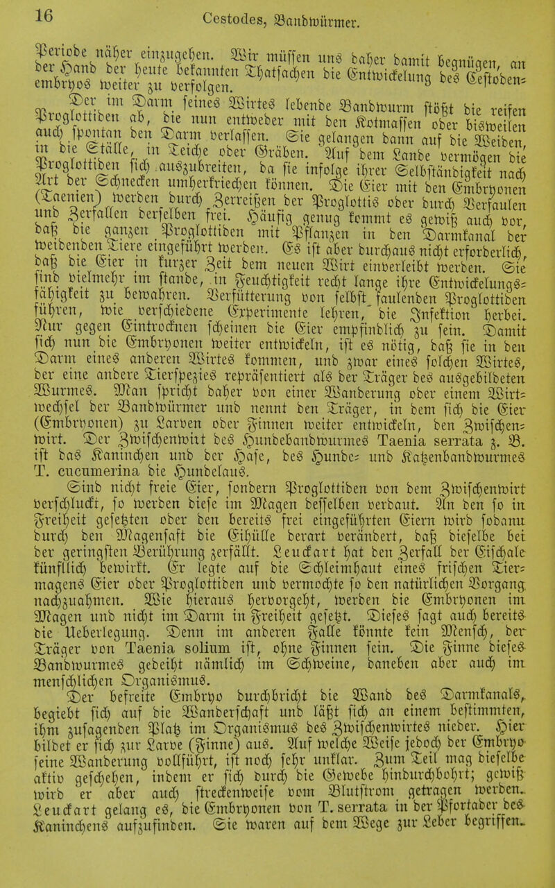 priobe näher eingugehen. Wh müffen unS baher bamit beanüaen an aud) fron an ben Sfcarm berlaffen. ©ie gelangen bann anf bie 4 e b n m bie ©raffe m Stcidbe ober ©räben. ^uf^bem Sanbe Vrmöqen bk |rogrottiben Witten, ba fie infolge %er ©elbftänbigfei naÄ Sfct ber ©dmeden um »erfrieren fönnen. 5&e (gier mit ben (gnWbonen (Xaemen) roerben burd) Berretfeen ber Sßrogtotti« ober burd) Verfaulen imb BerfaWen berfelben frei. §äufig genug fommt eS qeroife auch bor, ba£ bie gangen , ^roglothben mit fangen in ben karmfanal ber toetbenben Stiere eingeführt roerben. (gs ift aber burd)auS nid)t erforberlicB ba| btc (gier tn hirger Seit bem neuen 2Birt einberleibt roerben. ©te •l*? »Imc^r im ftanbe, in geud&tigfeit red)t Tange i$re (Snthricfelunq«* fabtgTett gu beroahren. «Bcrfütterung bon felbft faulenben ^roqlottiben fuhren, rote berfd)iebene (grberimente lehren,' bie ^nfeftion herbei vlux gegen (gtntrodnen fd)einen bie (gier embfinblich gu fein. SDamit ftd) nun bie (gmbrt)onen roeiter entroideln, ift eS nötig, ba§ fie in ben 2) arm eines anberen 2öirteS fommen, unb groar eine« folgen Zirres, ber eine anbere £ierfbegieS repräsentiert als ber Xräger beS auSgebilbeten SßurmeS. 3ttan [priest ba^er bon einer Säuberung ober einem 5ßirt= roedjfel ber ißanbroürmer unb nennt ben Präger, in bem fid) bie (gier ((gmbrbonen) gu Sarben ober ginnen roeiter entroideln, ben 3roifd)en= roirr. £)er 3^if^enroht beS £mnbebanbrourmeS Taenia serrata g. 23. ift baS Kaninchen unb ber §afe, beS §unbcs unb fta^enbanbrourmeS T. cueumerina bie §unbelauS. <Sinb nidjt freie (gier, fonbern ^roglottiben bon bem 3toifd)enroirt berfd)ludt, fo roerben biefe im 9Jcagen beffelben berbaut. 3ln ben fo in greiljeit gefegten ober ben bereits frei eingeführten (giern roirb fobanu burd) ben 9J?agenfaft bie (gihülle berart beränbert, ba£ biefelbe bei ber geringften Berührung gerfällt. Seudart hat ben 3erfa^ *>er ©tfdjale tunfllid) beroirft. (gr legte auf bie (Schleimhaut eines frifdjen £ier= magenS (gier ober ^roglottiben unb bermochte fo ben natürlichen Vorgang,, nachgualjmen. 2Bie hierauf tjtx'ooxqtyt, Serben bie (gmbrtyonen im SDcagen unb nid)t im SDarm in Freiheit gefegt. SDiefeS Jagt aud) bereits bie Ueberlegung. ®enn im anberen galle tonnte fein äftenfö,t ber Präger bon Taenia solium ift, ohne ginnen fein. ®ie ginne biefeS- SBanbrourmeS gebeizt nämlich im ©djroeine, baneben aber auch im menfchlichcn Organismus. $)er befreite (gmbrtyo burd)brid)t bie SBcmb beS StormfanalS, begiebt fid) auf bie SBanberfdjaft unb lägt fich an einem bestimmten, ihm gufagenben $Ia£ im Organismus beS 3roifd)enroirteS nieber. §ier bitbet er fich &ut tobe (ginne) aus. Stuf roelche Steife jebod) ber (gmbrbo feine SBanberung botlführt, ift noch fet)r unHar. 3um Steil mag biefelbe- aftib gefchehen, inbem er fid) burd) bie ©eroebe l)inburd)bol)rt; gereift roirb er aber aud) ftredenroeife bom ©lutftrom getragen roerben. Seudart gelang eS, bie (gmbrtyonen bon T. serrata in ber $fortabcr beS Kaninchens aufgufinben. ©ie roaren auf bem Sßege gur Seber begriffen.