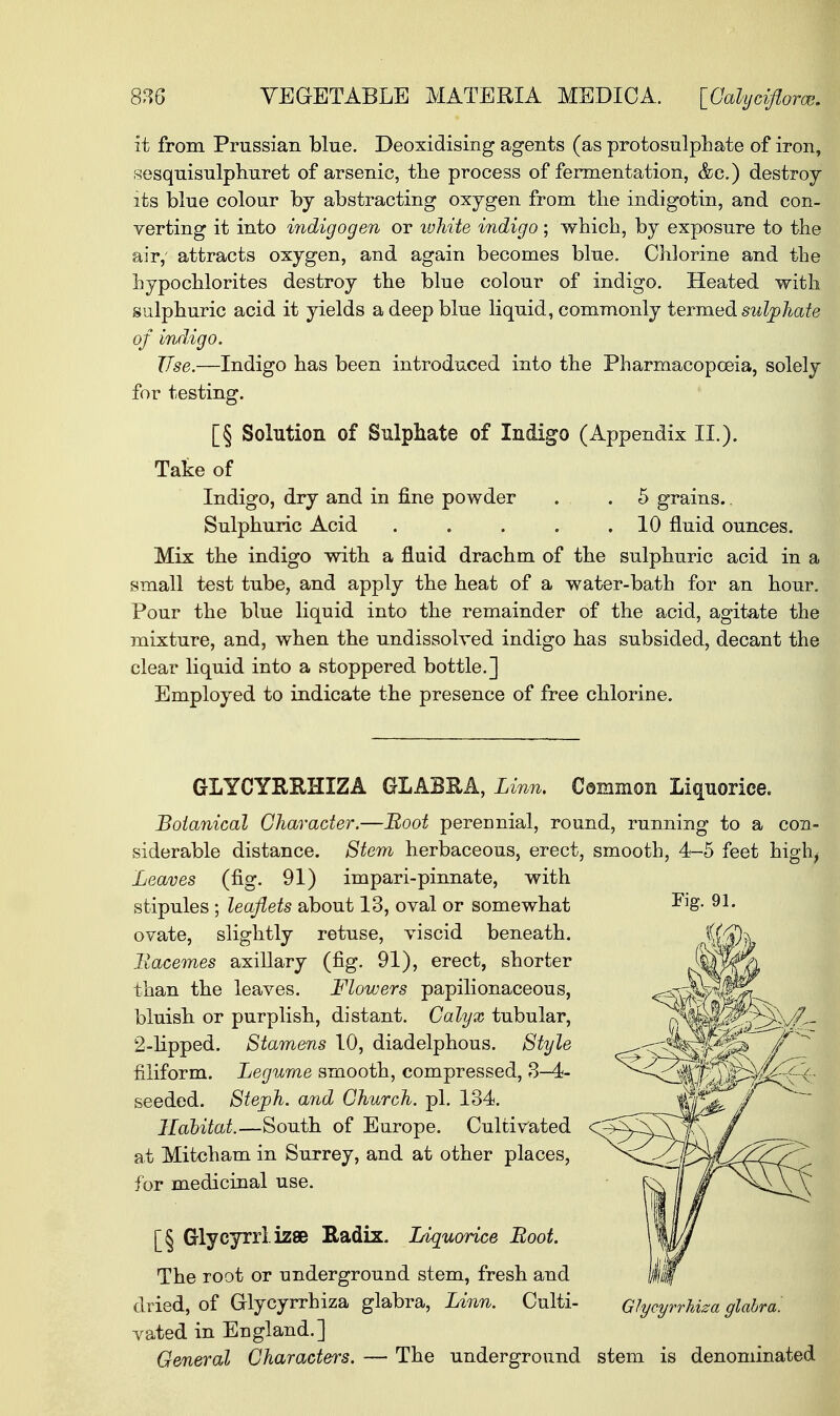 it from Prussian blue. Deoxidising agents (as protosulphate of iron, sesquisulphuret of arsenic, the process of fermentation, &c.) destroy its blue colour by abstracting oxygen from the indigotin, and con- verting it into indigogen or white indigo; which, by exposure to the air,' attracts oxygen, and again becomes blue. Chlorine and the hypochlorites destroy the blue colour of indigo. Heated with sulphuric acid it yields a deep blue liquid, commonly termed sulphate of indigo. Use.—Indigo has been introduced into the Pharmacopoeia, solely for testing. [§ Solution of Sulphate of Indigo (Appendix II.). Take of Indigo, dry and in fine powder . . .5 grains.. Sulphuric Acid . . . . .10 fluid ounces. Mix the indigo with a fluid drachm of the sulphuric acid in a small test tube, and apply the heat of a water-bath for an hour. Pour the blue liquid into the remainder of the acid, agitate the mixture, and, when the undissolved indigo has subsided, decant the clear liquid into a stoppered bottle.] Employed to indicate the presence of free chlorine. GLYCYRXtHXZA GLABRA, Linn. Common Liquorice. Botanical Character.—Boot perennial, round, running to a con- siderable distance. Stem herbaceous, erect, smooth, 4-5 feet highj Leaves (fig. 91) impari-pinnate, with stipules ; leaflets about 13, oval or somewhat ovate, slightly retuse, viscid beneath. Bacemes axillary (fig. 91), erect, shorter than the leaves. Flowers papilionaceous, bluish or purplish, distant. Calyx tubular, 2-lipped. Stamens 10, diadelphous. Style filiform. Legume smooth, compressed, 3-4- seeded. Steph. and Church, pi. 134. Habitat.—South of Europe. Cultivated at Mitcham in Surrey, and at other places, for medicinal use. [§ Glycyrrlizse Radix. Liquorice Boot. The root or underground stem, fresh and dried, of Glycyrrhiza glabra, Linn. Culti vated in England.] General Characters. — The underground stem is denominated Fig. 91. Glycyrrhiza glabra.