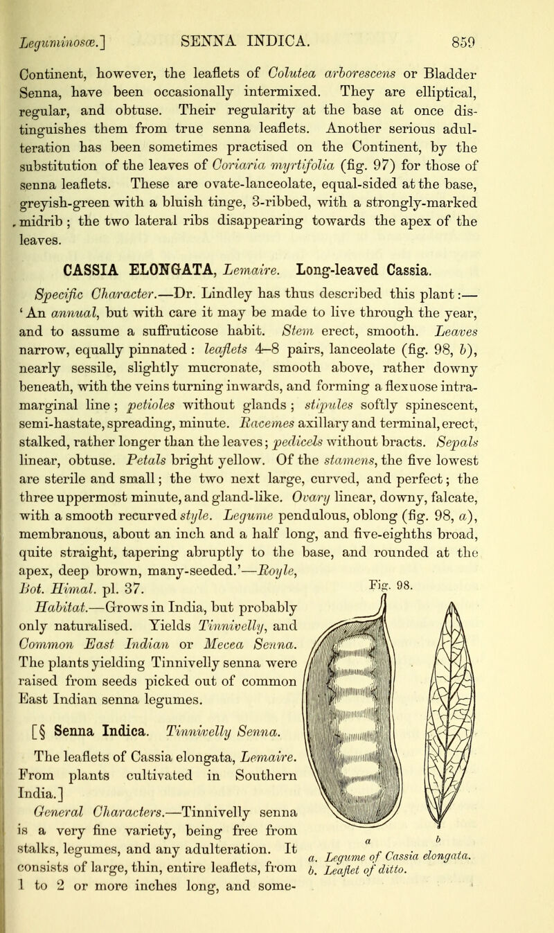 Continent, however, the leaflets of Golutea arborescens or Bladder Senna, have been occasionally intermixed. They are elliptical, regular, and obtuse. Their regularity at the base at once dis- tinguishes them from true senna leaflets. Another serious adul- teration has been sometimes practised on the Continent, by the substitution of the leaves of Ooriaria myrtifolia (fig. 97) for those of senna leaflets. These are ovate-lanceolate, equal-sided at the base, greyish-green with a bluish tinge, 3-ribbed, with a strongly-marked midrib ; the two lateral ribs disappearing towards the apex of the leaves. CASSIA ELONGATA, Lemaire. Long-leaved Cassia. Specific Character.—Dr. Lindley has thus described this plant:— ' An annual, but with care it may be made to live through the year, and to assume a suffruticose habit. Stem erect, smooth. Leaves narrow, equally pinnated: leaflets 4-8 pairs, lanceolate (fig. 98, &), nearly sessile, slightly mucronate, smooth above, rather downy beneath, with the veins turning inwards, and forming a flexuose intra- marginal line ; petioles without glands ; stipules softly spinescent, semi-hastate, spreading, minute. Racemes axillary and terminal, erect, stalked, rather longer than the leaves; pedicels without bracts. Sepals linear, obtuse. Petals bright yellow. Of the stamens, the five lowest are sterile and small; the two next large, curved, and perfect; the three uppermost minute, and gland-like. Ovary linear, downy, falcate, with a smooth recurved style. Legume pendulous, oblong (fig. 98, a), membranous, about an inch and a half long, and five-eighths broad, quite straight, tapering abruptly to the base, and rounded at the apex, deep brown, many-seeded.'—Boyle, Lot. Himal. pi. 37. Habitat.—Grows in India, but probably only naturalised. Yields Tinnivelly, and Common East Indian or Mecca Senna. The plants yielding Tinnivelly senna were raised from seeds picked out of common East Indian senna legumes. Tis. 98. [§ Senna Indica. Tinnivelly Senna. The leaflets of Cassia elongata, Lemaire. From plants cultivated in Southern India.] General Characters.—Tinnivelly senna Is a very fine variety, being free from stalks, legumes, and any adulteration. It consists of large, thin, entire leaflets, from 1 to 2 or more inches long, and some- a i> a. Legume of Cassia elongata. b. Leaflet of ditto.