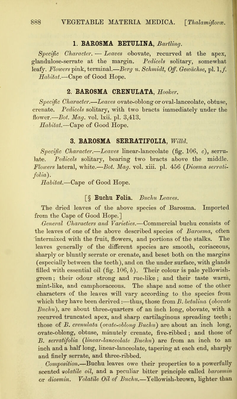 1. BAROSMA BETULINA, Barilmg. Specific Character. — Leaves obovate, recurved at the apex, glandulose-serrate at the margin. Pedicels solitary, somewhat leafy. Flowers pink, terminal.—Berg u. Schmidt, Off. Gewachse, pi. 1,/. Habitat.—Cape of Good Hope. 2. BAROSMA CRENULATA, Hooker. Specific Character.—Leaves ovate-oblong or oval-lanceolate, obtuse, crenate. Pedicels solitary, with two bracts immediately under the flower.—Bot. Mag. vol. Ixii. pi. 3,413. Hahitat.—Cape of Good Hope. 3. BAROSMA SERRATIFOLIA, Willd. Specific Character.—Leaves linear-lanceolate (fig. 106, c), serru- late. Pedicels solitary, bearing two bracts above the middle. Flowers lateral, white.—Bot. Mag. vol. xiii. pi. 456 (Diosma serraii- folia). Habitat.—Cape of Good Hope. [§ Buchn Folia. Buchu Leaves. The dried leaves of the above species of Barosma. Imported from the Cape of Good Hope.] General Characters and Varieties.—Commercial buchu consists of the leaves of one of the above described species of Barosma, often Intermixed with the fruit, flowers, and portions of the stalks. The leaves generally of the different species are smooth, coriaceous, sharply or bluntly serrate or crenate, and beset both on the margins (especially between the teeth), and on the under surface, with glands filled with essential oil (fig. 106, b). Their colour is pale yellowish- green ; their odour strong and rue-like ; and their taste warm, mint-like, and camphoraceous. The shape and some of the other characters of the leaves will vary according to the species from which they have been derived:—thus, those from B. betulina (obovate Buchu), are about three-quarters of an inch long, obovate, with a recurved truncated apex, and sharp cartilaginous spreading teeth; those of B. crenulata (ovate-oblong Buchu) are about an inch long, ovate-oblong, obtuse, minutely crenate, five-ribbed; and those of B. serratifolia (linear-lanceolate Buchu') are from an inch to an inch and a half long, linear-lanceolate, tapering at each end, sharply and finely serrate, and three-ribbed. Composition.—Buchu leaves owe their properties to a powerfully scented volatile oil, and a peculiar bitter principle called barosmin or diosmin. Volatile Oil of Buchu.—Yellowish-brown, lighter than