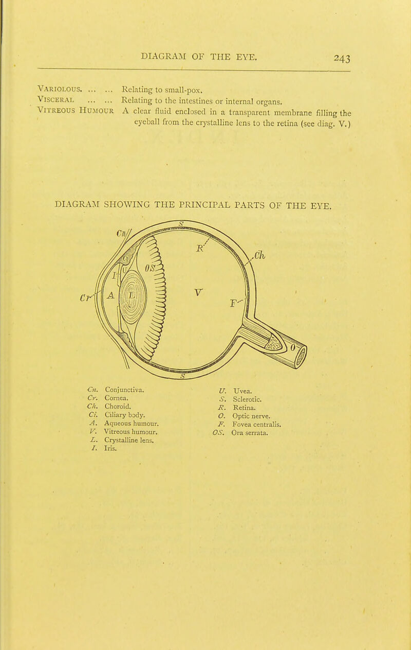 DIAGRAM OF THE EYE. Variolous Kchting to small-pox. Visceral Relating to the intestines or internal organs. Vitreous Humour A clear fluid enclosed in a transparent membrane filling the eyeball from the crystalline lens to the retina (see diag. V.) C«. Conjunctiva. Cr. Cornea. Ch. Choroid. a. Ciliary body. A. Aqueous humour. V. Vitreous humour. X. Crystalline lens. /. Iris. Z7. Uvea. S, Sclerotic, if. Retina. O. Optic nerve. J*. Fovea centralis. OS, Ora serrata.