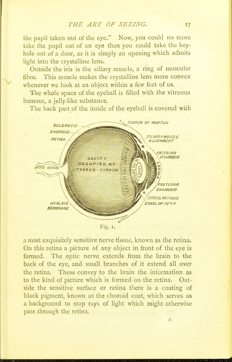 the pupil taken out of the eye. Now, you could no more take the pupil out of an eye than you could take the key- hole out of a door, as it is simply an opening which admits light into the crystalline lens. Outside the iris is the ciliary muscle, a ring of muscular fibre. This muscle makes the crystalline lens more convex whenever we look at an object within a few feet of us. The whole space of the eyeball is filled with the vitreous humour, a jelly-like substance. The back part of the inside of the eyeball is covered with Fig. I. a most exquisitely sensitive nerve tissue, known as the retina. On this retina a picture of any object in front of the eye is formed. The optic nerve extends from the brain to the back of the eye, and small branches of it extend all over the retina. These convey to the brain the information as to the kind of picture which is formed on the retina. Out- side the sensitive surface or retina there is a coating of black pigment, known as the choroid coat, which serves as a background to stop rays of light which might otherwise pass through the retina.