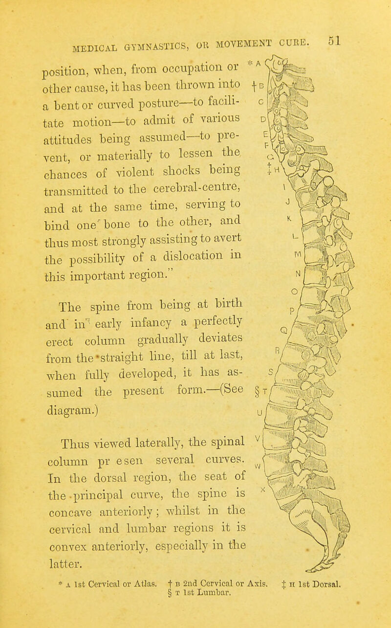 position, when, from occupation or other cause, it has been thrown into a bent or curved posture—to facih- tate motion—to admit of various attitudes being assumed—to pre- vent, or materially to lessen the chances of violent shocks being- transmitted to the cerebral-centre, and at the same time, serving to bind one^ bone to the other, and thus most strongly assisting to avert the possibility of a dislocation in this important region. 51 The spine from being at birth and' in early infancy a perfectly erect column gradually deviates from the straight hue, till at last, when fully developed, it has as- sumed the present form.—(See diagram.) Thus viewed laterally, the spinal column pr esen several curves. In the dorsal region, the seat of the -principal curve, the spine is concave anteriorly ; wdiilst in the cervical and lumbar regions it is convex anteriorly, especially in the latter. * A 1st Cervical or AtJas. f » 2nd Cervical or Axis. J n 1st Dorsal. § T 1st Lumbar.