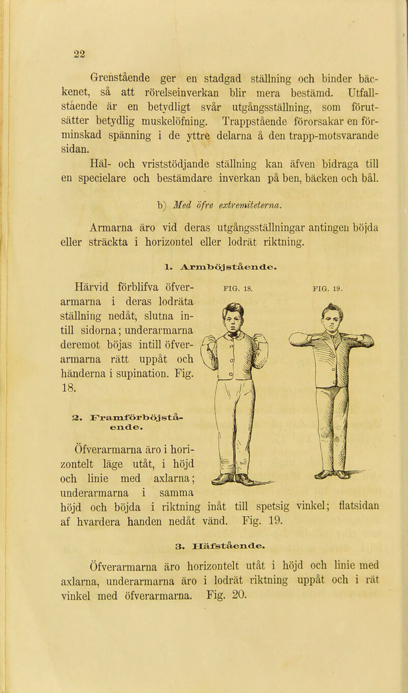 Grenstående ger en stadgad ställning och binder bäc- kenet, så att rörelseinverkan blir mera bestämd. Utfall- stående är en betydligt svår utgångsställning, som förut- sätter betydlig muskelöfning. Trappstående förorsakar en för- minskad spänning i de yttre delarna å den trapp-motsvarande sidan. Häl- och vriststödjande ställning kan äfven bidraga till en specielare och bestämdare invei-kan på ben, bäcken och bål. b) Med öfre exbremitetema. Armarna äro vid deras utgångsställningar antingen böjda eller sträckta i horizontel eller lodrät riktning. 1. Armböjstående. Härvid förblifva öfver- fig. is. fig. 19. armarna i deras lodräta ställning nedåt, slutna in- till sidorna; underarmarna deremot böjas intill öfver- armarna rätt uppåt och händerna i supination. Fig. 18. 3. Framförböjstå- eiaclc. Öfverarmarna äro i hori- zontelt läge utåt, i höjd och linie med axlarna; underarmarna i samma höjd och böjda i riktning inåt till spetsig vinkel; flatsidan af hvardera handen nedåt vänd. Fig. 19. 3. Häfstående. Öfverarmarna äro horizontelt utåt i höjd och linie med axlarna, underarmarna äro i lodrät riktning uppåt och i rät vinkel med öfverarmarna. Fig. 20.