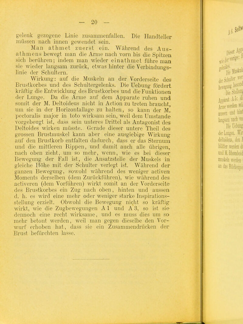 gelenk gezogene Linie /Aisammenfallen. Die Handteller müssen nach innen gewendet sein. Man athmet zuerst ein. Während des Aus- athmens bewegt man die Arme nach vorn bis die Spitzen sich berühren; indem man wieder ein athmet führe man sie wieder langsam zurück, etwas hinter die Verbindungs- linie der Schultern. Wirkung: auf die Muskeln an der Vorderseite des Brustkorbes und des Schultergelenks. Die Uebung fördert kräftig die Entwicklung des Brustkorbes und die Funktionen der Lunge. Da die Arme auf dem Apparate ruhen und somit der M. Deltoideus nicht in Action zu treten braucht^ um sie in der Horizontallage zu halten, so kann der pectoralis major in toto wirksam sein, M^eil dem Umstände vorgebeugt ist, dass sein unteres Drittel als Antagonist des Deltoides wirken müsste. Gerade dieser untere Theil des grossen Brustmuskel kann aber eine ausgiebige Wirkung- auf den Brustkorb entfalten dadurch, dass er das Sternum und die mittleren Rippen, und damit auch alle übrigen, nach oben zieht, um so mehr, wenn, w'ie es bei dieser Bewegung der Fall ist, die Ansatzstehe der Muskels in gleiche Höhe mit der Schulter verlegt ist. Während der ganzen Bewegung, sowohl während des weniger activen Moments derselben (dem Zurückführen), wie Avährend des activeren (dem Vorführen) wirkt somit an der Vorderseite- des Brustkorbes ein Zug nach oben, hinten und aussen d. h. es wird eine mehr oder weniger starke hispirations- stellung erzielt. Obwohl die Bewegung nicht so kräftige wirkt, wie die Zugbewegungen A1 und A 3, so ist sie- dennoch eine recht wirksame, und es muss dies um so mehr betont werden, weil man gegen dieselbe den Vor- wurf erhoben hat, dass sie ein Zusammendrücken der Brust befürchten lasse.