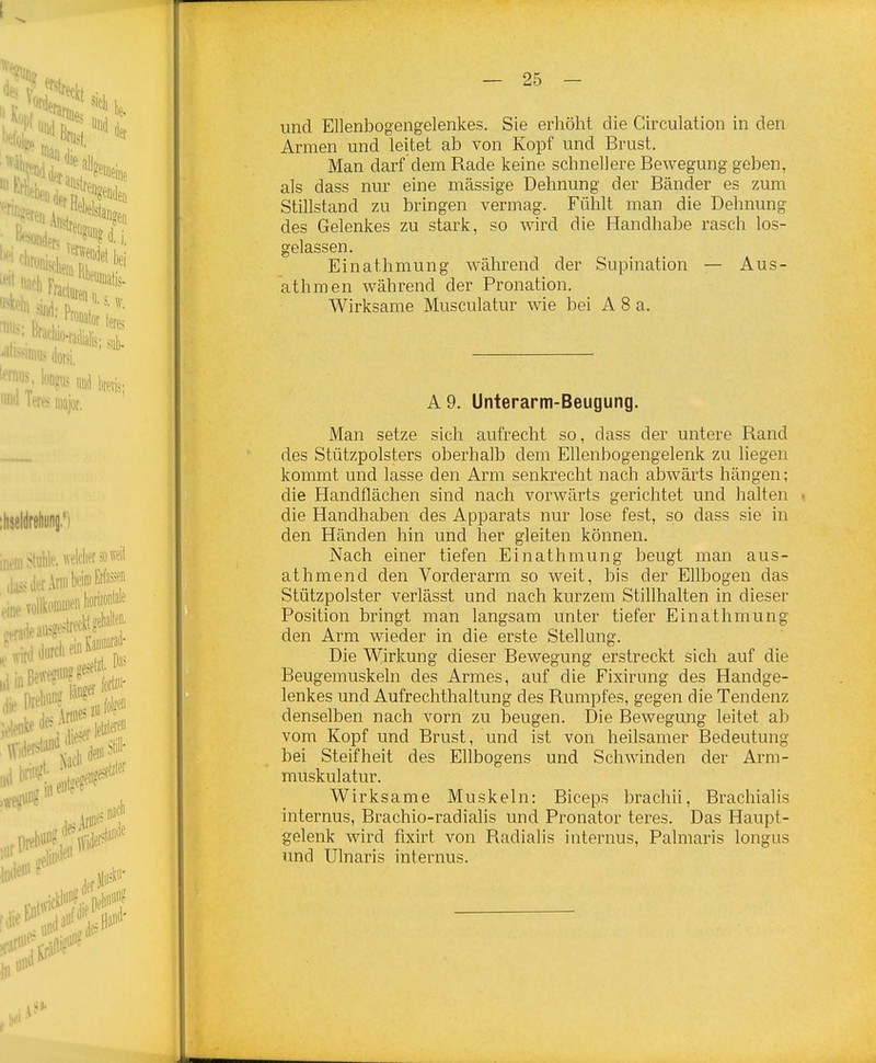 und Ellenbogengelenkes. Sie erhöht die Circulation in den Armen und leitet ab von Kopf und Brust, Man darf dem Rade keine schnellere Bewegung geben, als dass nur eine massige Dehnung der Bänder es zum Stillstand zu bringen vermag. Fühlt man die Dehnung des Gelenkes zu stark, so wird die Handhabe rasch los- gelassen. Einathmung während der Supination — Aus- athmen während der Pronation. Wirksame Musculatur wie bei A 8 a. A9. Unterarm-Beugung. Man setze sich aufrecht so, dass der untere Rand des Stützpolsters oberhalb dem Ellenbogengelenk zu liegen kommt und lasse den Arm senkrecht nach abwärts hängen; die Handflächen sind nach vorwärts gerichtet und halten . die Handhaben des Apparats nur lose fest, so dass sie in den Händen hin und her gleiten können. Nach einer tiefen Einathmung beugt man aus- athmend den Vorderarm so weit, bis der Ellbogen das Stützpolster verlässt und nach kurzem Stillhalten in dieser Position bringt man langsam unter tiefer Einathmung den Arm wieder in die erste Stellung. Die Wirkung dieser Bewegung erstreckt sich auf die Beugemuskeln des Armes, auf die Fixirung des Handge- lenkes und Aufrechthaltung des Rumpfes, gegen die Tendenz denselben nach vorn zu beugen. Die Bewegung leitet ab vom Kopf und Brust, und ist von heilsamer Bedeutung bei Steifheit des Ehbogens und Schwinden der Arm- muskulatur. Wirksame Muskeln: Biceps brachii, Brachialis internus, Brachio-radialis und Pronator teres. Das Haupt- gelenk wird fixirt von Radialis internus, Palmaris longus und Ulnaris internus.