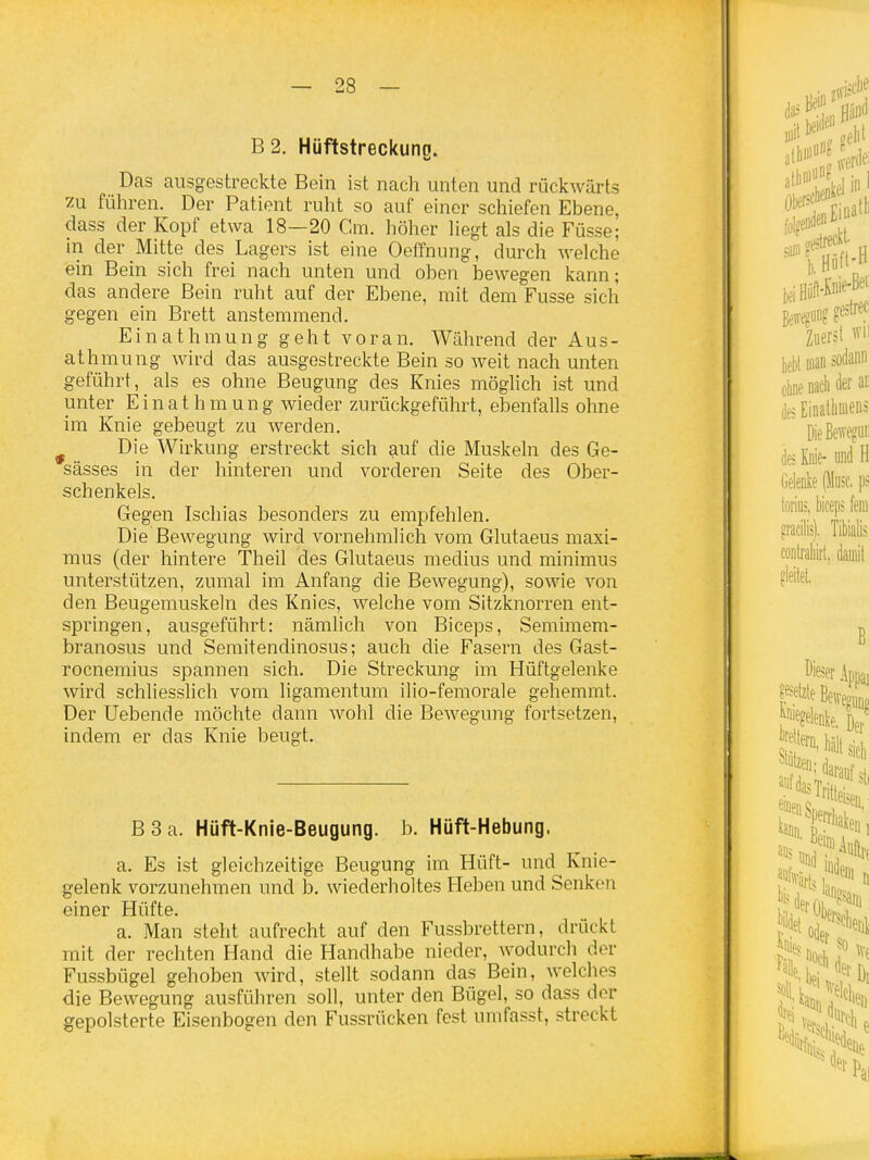 B2. Hüftstreckuno. Das ausgestreckte Bein ist nach unten und rückwärts 2u führen. Der Patient ruht so auf einer schiefen Ebene, dass der Kopf etwa 18—20 Gm. höher liegt als die Füsse; in der Mitte des Lagers ist eine Oeffnung, durch welche ein Bein sich frei nach unten und oben bewegen kann; das andere Bein ruht auf der Ebene, mit dem Fusse sich gegen ein Brett anstemmend. Einathraung geht voran. Während der Aus- athmung wird das ausgestreckte Bein so weit nach unten geführt, als es ohne Beugung des Knies möglich ist und unter E i n a t h m u n g wieder zurückgeführt, ebenfalls ohne im Knie gebeugt zu werden. ^ Die Wirkung erstreckt sich auf die Muskeln des Ge- sässes in der hinteren und vorderen Seite des Ober- schenkels. Gegen Ischias besonders zu empfehlen. Die Bewegung wird vornehmlich vom Glutaeus maxi- mus (der hintere Theil des Glutaeus medius und minimus unterstützen, zumal im Anfang die Bewegung), sowie von den Beugemuskeln des Knies, welche vom Sitzknorren ent- springen, ausgeführt: nämhch von Biceps, Semimem- branosus und Semitendinosus; auch die Fasern des Gast- rocnemius spannen sich. Die Streckung im Hüftgelenke wird schliesslich vom ligamentum ilio-femorale gehemmt. Der Hebende möchte dann wohl die Bewegung fortsetzen, indem er das Knie beugt. B3a. Hüft-Knie-Beugung. b. Hüft-Hebung. a. Es ist gleichzeitige Beugung im Hüft- und Knie- gelenk vorzunehmen und b. wiederholtes Heben und Senken einer Hüfte. a. Man steht aufrecht auf den Fussbrettern, drückt mit der rechten Hand die Handhabe nieder, wodurch der Fussbügel gehoben wird, stellt sodann das Bein, welches die Bewegung ausführen soll, unter den Bügel, so dass der gepolsterte Eisenbogen den Fussrücken fest umfasst, streckt