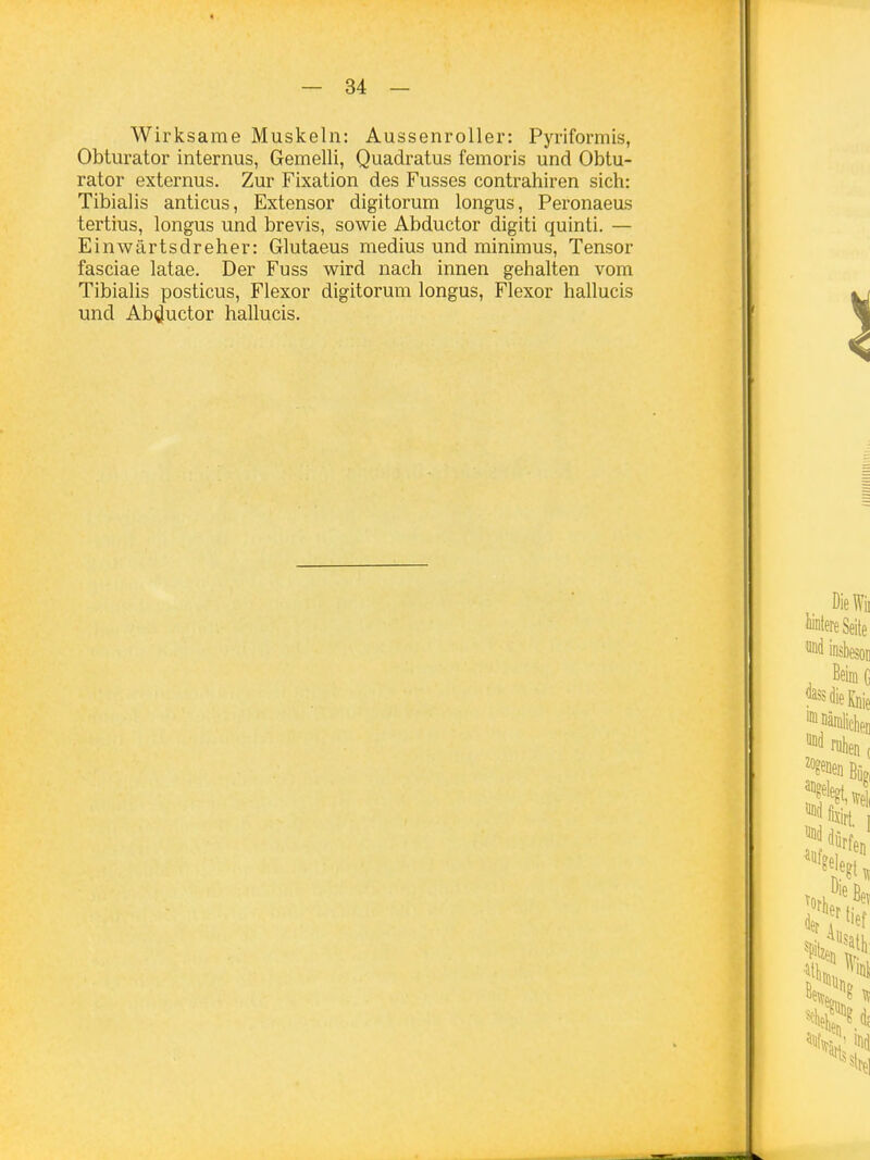 Wirksame Muskeln: Aussenroller: Pyriformis, Obturator internus, Gemelli, Quadratus femoris und Obtu- rator externus. Zur Fixation des Fusses contrahiren sich: Tibialis anticus, Extensor digitorum longus, Peronaeus tertius, longus und brevis, sowie Abductor digiti quinti. — Einwärtsdreher: Glutaeus medius und minimus, Tensor fasciae latae. Der Fuss wird nach innen gehalten vom Tibialis posticus, Flexor digitorum longus, Flexor hallucis und Abductor hallucis.