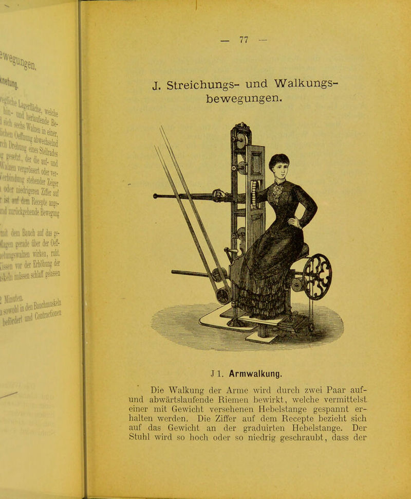 J. Streichungs- und Walkungs- bewegungen. J 1. Armwalkung. Die Walkung der Arme wird durch zwei Paar auf- und abwärtslaufende Riemen bewirkt, welche vermittelst einer mit Gewicht versehenen Hebelstange gespannt er- halten werden. Die Ziffer auf dem Recepte bezieht sich auf das Gewicht an der graduirten Hebelstange, Der Stuhl wird so hoch oder so niedrig geschraubt, dass der