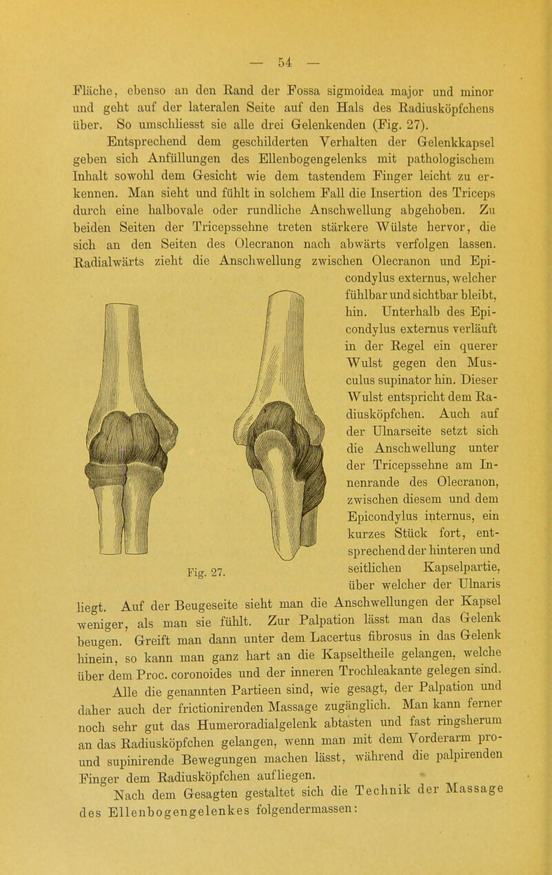 Fläche, ebenso an den Rand der Fossa sigmoidea major und minor und geht auf der lateralen Seite auf den Hals des Radiusköpfchens über. So umschliesst sie alle drei Gelenkenden (Fig. 27). Entsprechend dem geschilderten Verhalten der G-elenkkapsel geben sich Anfüllungen des Ellenbogengelenks mit pathologischem Inhalt sowohl dem Gesicht wie dem tastendem Finger leicht zu er- kennen. Man sieht und fühlt in solchem Fall die Insertion des Triceps durch eine halbovale oder rundliche Anschwellung abgehoben. Zu beiden Seiten der Tricepssehne treten stärkere Wülste hervor, die sich an den Seiten des Olecranon nach abwärts verfolgen lassen. Radialwärts zieht die Anschwellung zwischen Olecranon und Epi- condylus externus, welcher fühlbar und sichtbar bleibt, hin. Unterhalb des Epi- condylus externus verläuft in der Regel ein querer Wulst gegen den Mus- culus supinator hin. Dieser Wulst entspricht dem Ra- diusköpfchen. Auch auf der Ulnarseite setzt sich die Anschwellung unter der Tricepssehne am In- nenrande des Olecranon, zwischen diesem und dem Epicondylus internus, ein kurzes Stück fort, ent- sprechend der hinteren und seitlichen Kapselpartie, über welcher der Ulnaris liegt. Auf der Beugeseite sieht man die Anschwellungen der Kapsel weniger, als man sie fühlt. Zur Palpation lässt man das Gelenk beugen. Greift man dann unter dem Lacertus fibrosus in das Gelenk hinein, so kann man ganz hart an die Kapseltheile gelangen, welche über dem Proc. coronoides und der inneren Trochleakante gelegen sind. Alle die genannten Partieen sind, wie gesagt, der Palpation und daher auch der frictionirenden Massage zugänglich. Man kann ferner noch sehr gut das Humeroradialgelenk abtasten und fast ringsherum an das Radiusköpfchen gelangen, wenn man mit dem Vorderarm pro- und supinirende Bewegungen machen lässt, während die palpirenden Finger dem Radiusköpfchen aufliegen. Nach dem Gesagten gestaltet sich die Technik der Massage des Ellenbogengelenkes folgendermassen: T lim IT iiiiM Fig. 27.