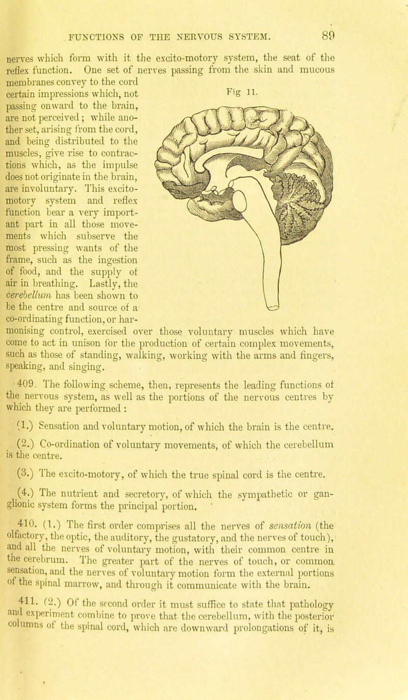 neiTes which form with it tlie excito-motory system, the seat of the reflex function. One set of nerves passing from the sidn and mucous membranes convey to the cord certain impressions which, not f'g 11^- passing onward to the brain, are not jjerceived; while ano- tlier set, arising from the cord, and bemg distributed to the muscles, give rise to contrac- tions which, as the impulse does not originate in the brain, are involuntary. This excito- motory system and reflex function bear a ybyj import- ant part in all those move- ments which subserve the most pressing wants of the fi'ame, such as the ingestion of food, and the supply of air in breathing. Lastly, the cerehellum has been shown to be the centre and source of a co-ordinating function, or har- monising control, exercised over those voluntary muscles which have come to act in unison Ibr the production of certain complex movements, such as those of standing, waliiing, workmg with the arms and fingers, speaking, and singing. 409. The following scheme, then, represents the leading functions of the nervous system, as well as the portions of the nervous centres by which they are performed : (1.) Sensation and voluntary motion, of which the brain is the centre. (2.) Co-ordination of voluntary movements, of which the cerebellum is the centre. (3.) The excito-motory, of which the true spinal cord is the centre. (4.) The nutrient and secretory, of which the sympathetic or gan- glionic system forms the principal portion. 410. (1.) The first order comprises all the nerves of sensation (the olfiictory, the optic, the auditory, the gustatory, and the nerves of touch), and all the nerves of voluntary motion, with their common centre in the cerebrum. The greater part of the nerves of touch, or commoa sensation, and the nerves of voluntary motion form the external portions of the spinal maiTow, and through it communicate with the brain. 411. (2.) Of the second order it must suffice to state that pathology and experiment combine to prove that the cerebellum, with the posterior columns of the spinal cord, which are downwai-d prolongations of it, is