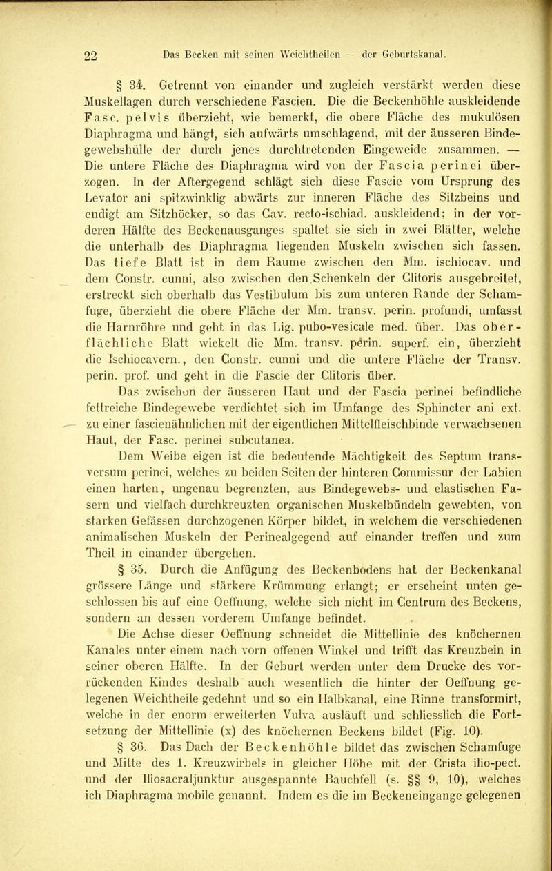 § 34. Getrennt von einander und zugleich verstärkt werden diese Muskellagen durch verschiedene Fascien. Die die Beckenhöhle auskleidende Fase, pelvis überzieht, wie bemerkt, die obere Fläche des mukulösen Diaphragma und hängt, sich aufwärts umschlagend, mit der äusseren Binde- gewebshülle der durch jenes durchtretenden Eingeweide zusammen. — Die untere Fläche des Diaphragma wird von der Fascia perinei über- zogen. In der Aftergegend schlägt sich diese Fascie vom Ursprung des Levator ani spitzwinklig abwärts zur inneren Fläche des Sitzbeins und endigt am Sitzhöcker, so das Gav. recto-ischiad. auskleidend; in der vor- deren Hälfte des Beckenausganges spaltet sie sich in zwei Blätter, welche die unterhalb des Diaphragma liegenden Muskeln zwischen sich fassen. Das tiefe Blatt ist in dem Baume zwischen den Mm. ischioeav. und dem Constr. cunni, also zwischen den Schenkeln der Glitoris ausgebreitet, erstreckt sich oberhalb das Vestibulum bis zum unteren Rande der Scham- fuge, überzieht die obere Fläche der Mm. transv. perin. profundi, umfasst die Harnröhre und geht in das Lig. pubo-vesicale med. über. Das ober- flächliche Blatt wickelt die Mm. transv. pdrin. superf. ein, überzieht die Ischiocavcrn., den Constr. cunni und die untere Fläche der Transv. perin. prof. und geht in die Fascie der Glitoris über. Das zwischun der äusseren Haut und der Fascia perinei befindliche fettreiche Bindegewebe verdichtet sich im Umfange des Sphincter ani ext. zu einer fascienähnlichen mit der eigentlichen Mittelfleischbinde verwachsenen Haut, der Fase, perinei subcutanea. Dem Weibe eigen ist die bedeutende Mächtigkeit des Septum trans- versum perinei, welches zu beiden Seiten der hinteren Commissur der Labien einen harten, ungenau begrenzten, aus Bindegewebs- und elastischen Fa- sern und vielfach durchkreuzten organischen Muskelbündeln gewebten, von starken Gefässen durchzogenen Körper bildet, in welchem die verschiedenen animalischen Muskeln der Perinealgegend auf einander treffen und zum Theil in einander übergehen. § 35. Durch die Anfügung des Beckenbodens hat der Beckenkanal grössere Länge und stärkere Krümmung erlangt; er erscheint unten ge- schlossen bis auf eine Oeffnung, welche sich nicht im Gentrum des Beckens, sondern an dessen vorderem Umfange befindet. Die Achse dieser Oeffnung schneidet die Mittellinie des knöchernen Kanales unter einem nach vorn offenen Winkel und trifft das Kreuzbein in seiner oberen Hälfte. In der Geburt werden unter dem Drucke des vor- rückenden Kindes deshalb auch wesentlich die hinter der Oeffnung ge- legenen Weichtheile gedehnt und so ein Halbkanal, eine Rinne transformirt, welche in der enorm erweiterten Vulva ausläuft und schliesslich die Fort- setzung der Mittellinie (x) des knöchernen Beckens bildet (Fig. 10). § 36. Das Dach der Becken höhle bildet das zwischen Schamfuge und Mitte des 1. Kreuzwirbels in gleicher Höhe mit der Grista ilio-pect. und der Iliosacraljunktur ausgespannte Bauchfell (s. §§ 9, 10), welches ich Diaphragma mobile genannt. Indem es die im Beckeneingange gelegenen