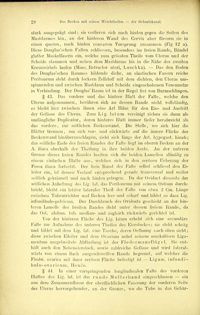 stark ausgeprägt sind; sie verlieren sich nach hinten gegen die Seiten des Mastdarmes hin, an der hinteren Wand des Gervix aber fliessen sie in einen queren, nach hinten concaven Vorsprung zusammen (Fig 12 a). Diese Douglas'schen Falten schliessen, besonders im treien Rande, Bündel glatter Muskelfasern ein, weiche zum grössten Theile vom Uterus und der Scheide stammen und neben dem Mastdärme bis in die Nähe des zweiten Kreuzwirbels laufen (Muse. Retractor uteri, Luschka). — Das den Boden des Douglas'schen Raumes bildende dicke, an elastischen Fasern reiche Peritoneum steht durch lockern Zellstoff mit dem dichten, den Uterus um- spinnenden und zwischen Mastdarm und Scheide eingeschobenen Venennetze in Verbindung. Der Douglas' Raum ist in der Regel frei von Darmschlingen. § 43. Das vordere und das hintere Blatt der Falte, welche den Uterus aufgenommen, berühren sich an dessen Rande nicht vollständig, es bleibt hier zwischen ihnen eine Art Hilus für den Ein- und Austritt der Gefässe des Uterus. Zum Lig. latum vereinigt ziehen sie dann als umfängliche Duplicatur, deren hinteres Blatt immer tiefer herabreicht als das vordere, zur seitlichen Beckenwand. Die Stelle, wo sich hier die Blälter trennen, um sich vor- und rückwärts auf die innere Fläche der Beckenwand hinüberzuschlagen, zieht sich längs der Art. hypogast. hinab; das seitliche Ende des freien Randes der Falte liegt im oberen Becken an der A. iliaca oberhalb der Theilung in ihre beiden Aeste. An der unteren Grenze dieses freien Randes breiten sich die beiden Lamellen allmälig zu einem einfachen Blatte aus, welches sich in den serösen Ueberzug der Fossa iliaca fortsetzt. Der freie Rand der Falte selbst schlicsst den Ei- leiter ein, ist dessen Verlauf entsprechend gerade transversal und weiter seitlich gekräuselt und nach hinten gebogen. Da der Oviduct diesseits der seitlichen Anheftung des Lig- lat. das Peritoneum mit seinem Ostium durch= bricht, bleibt ein letzter lateraler Theil der Falle von etwa 2 Cm. Länge zwischen Tubentrichter und Becken leer und scharf und bildet so dass Lig. infundibulo-pelvicum. Der Durchbruch des Oviducts geschieht an der hin- teren Lamelle des breiten Bandes dicht unter dessen freiem Rande, da das Ost. abdom. tub. median- und zugleich rückwärts gerichtet ist. Von der hinteren Fläche des Lig. latum erhebt sich eine secundäre Falte zur Aufnahme des unteren Theiles des Eierstockes; sie steht schräg und bildet mit dem Lig. lat. eine Tasche, deren Oeffnung nach oben sieht; diese zwischen Eileiter und dem Ovarium nebst seinem muskulösen Liga- mentum ausgebreitete Abtheilung ist der Fledermausflügel. Sie ent- hält auch den Nebeneierstock, sowie zahlreiche Gefässe und wird lateral- wärts von einem flach ausgeschweiften Rande begrenzt, auf welcher die Fimbr. ovarica mit ihrer serösen Fläche befestigt ist — Ligam. infundi- bulo-ovaricum, Henle. § 44. In einer vorspringenden longitudinalen Falte des vorderen Blattes des Lig. lat. ist das runde Mutterband eingeschlossen — ein aus dem Zusammenflusse der oberflächlichen Faserung der vorderen Seite des Uterus hervorgehender, an der Grenze, wo die Tube in das Gebär-