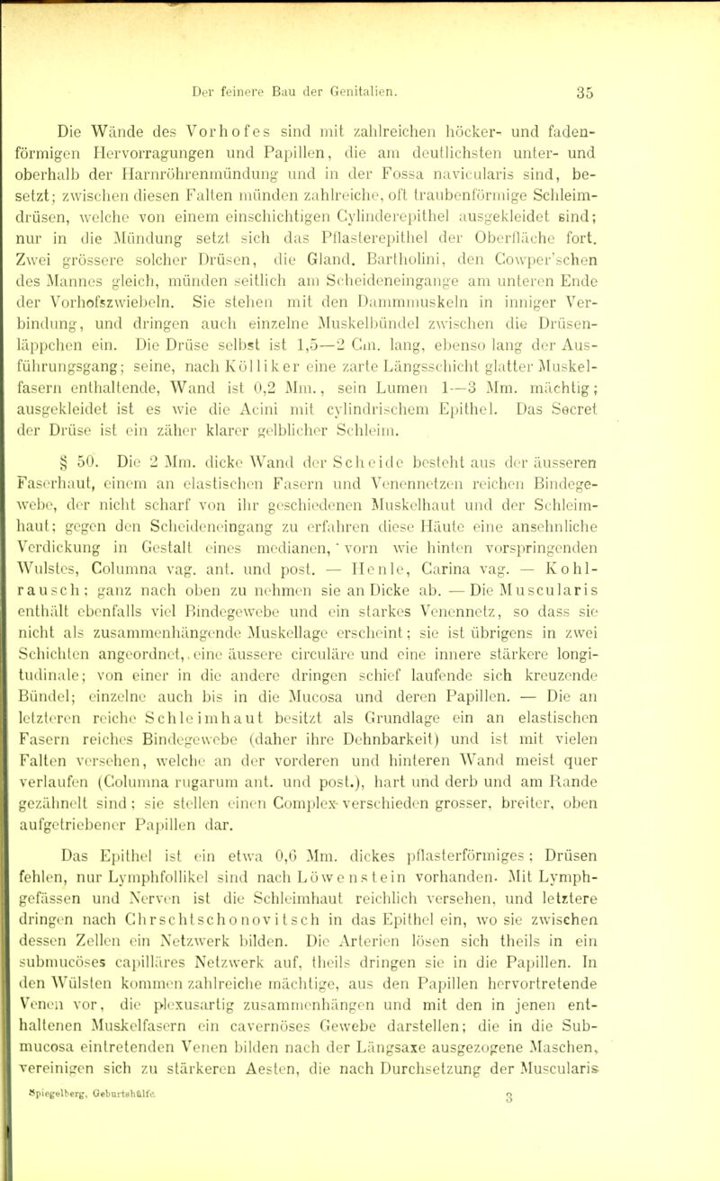 Die Wunde des Vorhofes sind mit zahlreichen höcker- und faden- förmigen Hervorragungen und Papillen, die am deutlichsten unter- und oberhalb der Harnröhrenmündung und in der Fossa navicularis sind, be- setzt; zwischen diesen Falten münden zahlreiche, oft traubenförmige Schleim- drüsen, welche von einem einschichtigen Cylinderepithel ausgekleidet sind; nur in die ^Mündung setzt sich das Pflaslerepithel der Oberfläche fort. Zwei grössere solcher Drüsen, die Gland. Bartholini, den Cowper'schen des Mannes gleich, münden seitlich am Scheideneingange am unteren Ende der Vorhofszwiebeln. Sie stehen mit den Dammmuskeln in inniger Ver- bindung, und dringen auch einzelne Muskelbündel zwischen die Drüsen- läppchen ein. Die Drüse selbst ist 1,5—2 Cm. lang, ebenso lang der Aus- führungsgang; seine, nach Kölliker eine zarte Längsschicht glatter Muskel- fasern enthaltende, Wand ist 0,2 Mm., sein Lumen 1—3 Mm. mächtig; ausgekleidet ist es wie die Acini mil cylindrischem Epithel. Das Secret der Drüse ist ein zäher klarer gelblicher Schleim. § 50. Die 2 Mm. dicke Wand der Scheide besteht aus der äusseren Faserhaut, einem an elastischen Fasern und Venennetzen reichen Bindege- webe, di r nicht scharf von ihr geschiedenen Muskelhaut und der Schleim- haut; gegen den Scheideneingang zu erfahren diese Häute eine anselmliche Verdickung in Gestalt eines medianen,' vorn wie hinten vorspringenden Wulstes, Columna vag. ant. und post. — Henle, Carina vag. — Kohl- rausch; ganz nach oben zunehmen sie an Dicke ab. —Die Muscularis enthält ebenfalls viel Bindegewebe und ein starkes Venennetz, so dass sie nicht als zusammenhängende Muskellage erscheint; sie ist übrigens in zwei Schichten angeordnet,. eine äussere circuläre und eine innere stärkere longi- tudinale; von einer in die andere dringen schief laufende sich kreuzende Bündel; einzelne auch bis in die Mucosa und deren Papillen. — Die an letzteren reiche Schleimhaut besitzt als Grundlage ein an elastischen Fasern reiches Bindegewebe (daher ihre Dehnbarkeif) und ist mit vielen Falten versehen, welche an der vorderen und hinteren Wand meist quer verlaufen (Columna rugarum ant. und post.j, hart und derb und am Bande gczähnelt sind; sie stellen einen Complex-verschieden grosser, breiter, oben aufgetriebener Papillen dar. Das Epithel ist ein etwa 0,G Mm. dickes pflasterförmiges: Drüsen fehlen, nur Lymphfollikel sind nach Löwe ns tein vorhanden. Mit Lymph- gefässen und Nerven ist die Schleimhaut reichlich versehen, und letztere dringen nach Chrschtscho nov i t sch in das Epithel ein, wo sie zwischen dessen Zellen ein Netzwerk bilden. Die Arterien lösen sich theils in ein submucöses capilläres Netzwerk auf. theils dringen sie in die Papillen. In den Wülsten kommen zahlreiche mächtige, aus den Papillen hervortretende Venen vor. die plexusartig zusammenhängen und mit den in jenen ent- haltenen Muskelfasern ein cavernöses Gewebe darstellen; die in die Sub- mueosa eintretenden Venen bilden nach der Längsaxe ausgezogene Maschen, vereinigen sich zu stärkeren Aesten, die nach Durchsetzung der Muscularis Mpipgelt>erg. Oebnrtshülfo. o il