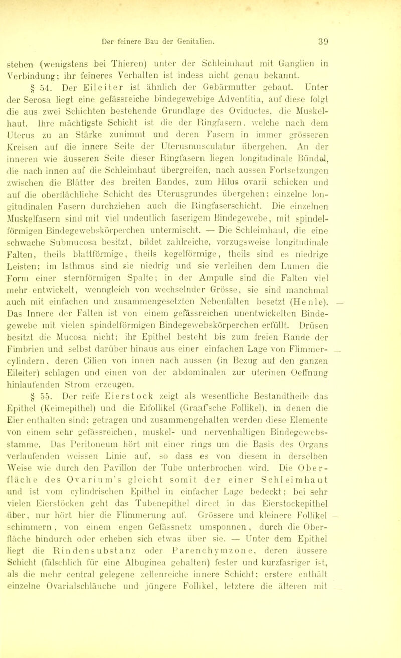 stehen (wenigstens bei Thieren) unter der Schleimhaut mit Ganglien in Verbindung; ihr feineres Verhalten ist indess nicht genau bekannt. § 54. Der Eileiter ist ähnlich der Gebärmutter gebaut. Unter der Serosa liegt eine gefässreiche bindegewebige Adventitia, auf diese folgt die aus zwei Schichten bestehende Grundlage des Oviductes. die Muskel- haut. Ihre mächtigste Schicht ist die der Ringfasern, welche nach dem Uterus zu an Stärke zunimmt und deren Fasern in immer grösseren Kreisen auf die innere Seite der Uterusmusculatur übergehen. An der inneren wie äusseren Seite dieser Ringfasern liegen longitudinale Bündel, die nach innen auf die Schleimhaut übergreifen, nach aussen Fortsetzungen zwischen die Blätter des breiten Bandes, zum Jlilus ovarii schicken und auf die oberflächliche Schiebt des Kterusgrundes übergehen: einzelne lon- gitudinalen Fasern durchziehen auch die Ringfaserschicht. Die einzelnen Muskelfasern sind mit viel undeutlich faserigem Bindegewebe, mit spindel- förmigen Bindegcwebskürperchen untermischt. — Die Schleimhaut, die eine schwache Submucosa besitzt, bildet zahlreiche, vorzugsweise longitudinale Falten, theils blattförmige, theils kegelförmige, theils sind es niedrige Leisten; im Isthmus sind sie niedrig und sie verleihen dem Lumen die Form einer sternförmigen Spalte: in der Ampulle sind die Falten viel mehr entwickelt, wenngleich von wechselnder Grösse, sie sind manchmal auch mit einfachen und zusammengesetzten Nebenfalten besetzt (He nie). — Das Innere der Falten ist von einem gefässreichen unentwickelten Binde- gewebe mit vielen spindelförmigen Bindegewebskörperchen erfüllt. Drüsen besitzt die Mucosa nicht: ihr Epithel besteht bis zum freien Rande der Fimbrien und selbst darüber hinaus aus einer einfachen Lage von Flimmer- _ cylindern, deren Qilien von innen nach aussen (in Bezug auf den ganzen Eileiter) schlagen und einen von der abdominalen zur uterinen Oeffnung hinlaufenden Strom erzeugen. 3 55. Her reife Eierstock zeigt als wesentliche Bestandteile das Epithel (Keimepithel) und die Eifollikel (Graafsche Follikel), in denen die Eier enthalten sind: getragen und zusammengehalten werden diese Elemente von einem sehr gefässreichen, muskel- und nervenhalligen Bindegewebs- stamme. Das Peritoneum hört mit einer rings um die Basis des Organs verlaufenden weissen Linie auf, so dass es von diesem in derselben Weise wie durch den Pavillon der Tube unterbrochen wird. Die Ober- fläche des Ovarium's gleicht somit der einer Schleimhaut und ist vom cylindrischen Epithel in einfacher Lage bedeckt: bei sehr vielen Kierstücken geht das Tubenepithel direel in das Eierstockepithel über, nur hörl hier die Flimmerung auf. Grössere und kleinere Follikel - schimmern . von einem engen Gefässnetz umsponnen, durch die Ober- Qäche hindurch oder erheben sich etwas über sie. — Unter dem Epithel liegt die Rindensubstanz oder Parenchymzon e, deren äussere Schicht (fälschlich für eine Albuginea gehalten) feste]- und kurzfasriger i>t, als die mehr central gelegene zellenreiche innere Schicht: erstere enthält einzelne Ovarialschläuche und jüngere Follikel, letztere die älteren mit