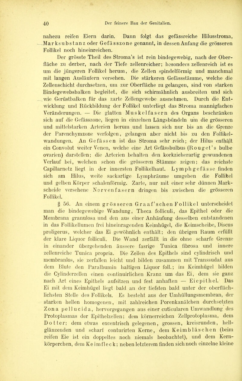 nahezu reifen Eiern darin. Dann folgt das gefässreiche Hilusstroma, Marksubstanz oder Gefässzone genannt, in dessen Anfang die grösseren Follikel noch hineinreichen. Der grösste Theil des Stroma's ist rein bindegewebig, nach der Ober- fläche zu derber, nach der Tiefe zellenreicher; besonders zellenreich ist es um die jüngeren Follikel herum, die Zellen spindelförmig und manchmal mit langen Ausläufern versehen. Die stärkeren Gefässstämme, welche die Zellenschicht durchsetzen, um zur Oberfläche zu gelangen, sind von starken Bindegewebsbalken begleitet, die sich schirmähnlich ausbreiten und sich „wie Gerüstbalken für das zarte Zellengewebe ausnehmen. Durch die Ent- wicklung und Rückbildung der Follikel unterliegt das Stroma mannigfachen Veränderungen. — Die glatten Muskelfasern des Organs beschränken sich auf die Gefässzone, liegen in einzelnen Längsbündeln um die grösseren und mittelstarken Arterien herum und lassen sich nur bis an die Grenze der Parenchymzone verfolgen, gelangen aber nicht bis zu den Follikel- wandungen. An Gefässen ist das Stroma sehr reich; der Hilus enthält ein Convolut weiter Venen, welche eine Art Gefässbulbus (Rouget's bulbe Ovarien) darstellen; die Arterien behalten den korkzieherartig gewundenen Verlauf bei, welchen schon die grösseren Stämme zeigen; das reichste Capillarnetz liegt in der innersten Follikelhaut. Lymph gefässe finden sich am Hilus, weite sackartige Lymphräume umgeben die Follikel und gelben Körper schalenförmig. Zarte, nur mit einer sehr dünnen Mark- scheide versehene Nervenfasern dringen bis zwischen die grösseren Follikel. § 56. An einem grösseren Graafschen Follikel unterscheidet man die bindegewebige Wandung, Theca folliculi, das Epithel oder die Membrana granulosa und den aus einer Anhäufung desselben entstandenen in das Follikellumen frei hineinragenden Keimhügel, die Keimscheibe, Discus proligerus, welcher das Ei gewöhnlich enthält; den übrigen Raum erfüllt der klare Liquor folliculi. Die Wand zerfällt in die ohne scharfe Grenze in einander übergehenden äussere fasrige Tunica fibrosa und innere zellenreiche Tunica propria. Die Zellen des Epithels sind cylindrisch und membranlos, sie zerfallen leicht und bilden zusammen mit Transsudat aus dem Blute den Paralbumin haltigen Liquor foll.; im Keimhügel bilden die Cylinderzellen einen continuirlichen Kranz um das Ei, dem sie ganz nach Art eines Epithels aufsitzen und fest anhaften — Eiepithel. Das Ei mit dem Keimhügel liegt bald an der tiefsten bald unter der oberfläch- lichsten Stelle des Follikels. Es besteht aus der Umhüllungsmembran, der starken hellen homogenen, mit zahlreichen Porenkanälchen durchsetzten Zona pellucida, hervorgegangen aus einer cuticularen Umwandlung des Protoplasmas der Epithelzellen; dem körnerreichen Zellprotoplasma, dem Dotter; dem etwas excentrisch gelegenen, grossen, kreisrunden, hell- glänzenden und scharf conturirten Kerne, dem Keimbläschen (beim reifen Eie ist ein doppeltes noch niemals beobachtet), und dem Kern- körperchen, dem K e i m f 1 e c k; neben letzterem finden sich noch einzelne kleine