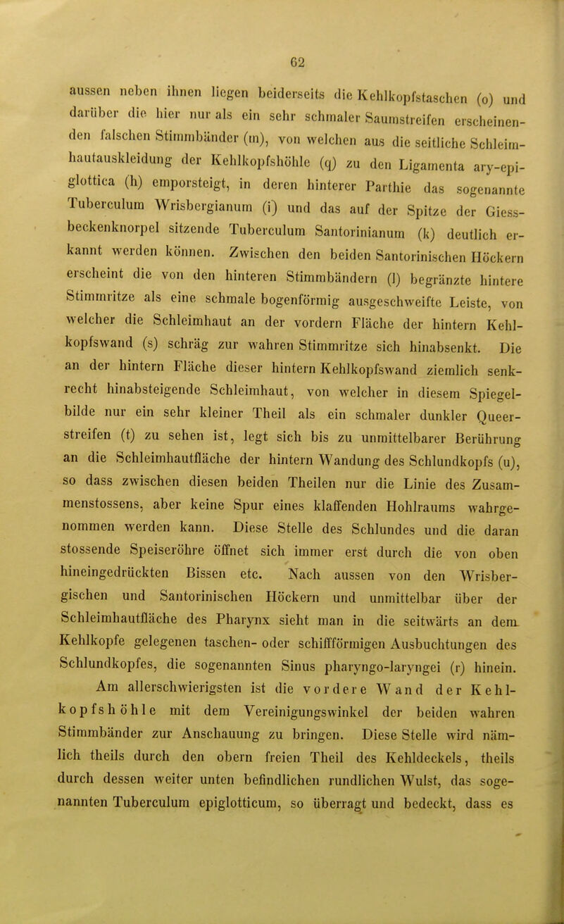 aussen neben ihnen liegen beiderseits die Kehlkopfstaschen (o) und darüber die hier nur als ein sehr schmaler Saumstreifen erscheinen- den falschen Stimmbänder (m), von welchen aus die seitliche Schleira- hautauskleidung der Kehlkopfshöhle (q) zu den Ligamenta ary-epi- glottica (h) emporsteigt, in deren hinterer Parthie das sogenannte Tuberculum Wrisbergianum (i) und das auf der Spitze der Giess- beckenknorpel sitzende Tuberculum Santorinianura (k) deutlich er- kannt werden können. Zwischen den beiden Santorinischen Höckern erscheint die von den hinteren Stimmbändern (1) begränzte hintere Stimmritze als eine schmale bogenförmig ausgeschweifte Leiste, von welcher die Schleimhaut an der vordem Fläche der hintern Kehl- kopfswand (s) schräg zur wahren Stimmritze sich hinabsenkt. Die an der hintern Fläche dieser hintern Kehlkopfswand ziemlich senk- recht hinabsteigende Schleimhaut, von welcher in diesem Spiegel- bilde nur ein sehr kleiner Theil als ein schmaler dunkler Queer- streifen (t) zu sehen ist, legt sich bis zu unmittelbarer Berührung an die Schleimhautfläche der hintern Wandung des Schlundkopfs (u), so dass zwischen diesen beiden Theilen nur die Linie des Zusam- menstossens, aber keine Spur eines klaffenden Hohlraums wahrge- nommen werden kann. Diese Stelle des Schlundes und die daran stossende Speiseröhre öffnet sich immer erst durch die von oben hineingedrückten Bissen etc. Nach aussen von den Wrisber- gischen und Santorinischen Höckern und unmittelbar über der Schleimhautfläche des Pharynx sieht man in die seitwärts an dem. Kehlkopfe gelegenen taschen- oder schiffförmigen Ausbuchtungen des Schlundkopfes, die sogenannten Sinus pharyngo-laryngei (r) hinein. Am allerschwierigsten ist die vordere Wand der Kehl- kopfshöhle mit dem Vereinigungswinkel der beiden wahren Stimmbänder zur Anschauung zu bringen. Diese Stelle wird näm- lich theils durch den obern freien Theil des Kehldeckels, theils durch dessen weiter unten befindlichen rundlichen Wulst, das soge- nannten Tuberculum epiglotticum, so überragt und bedeckt, dass es