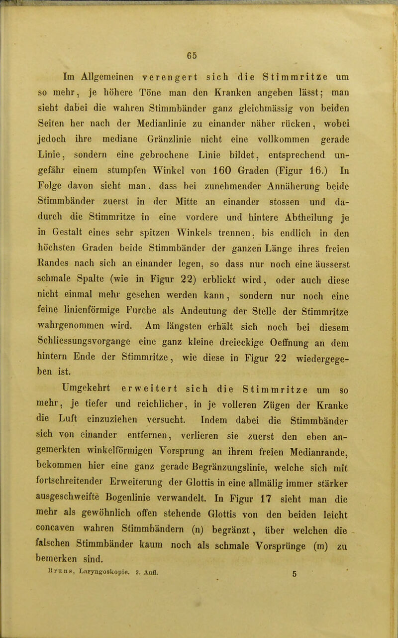 Im Allgemeinen verengert sich die Stimmritze um so mehr, je höhere Töne man den Kranken angeben lässt; man sieht dabei die wahren Stimmbänder ganz gleichmässig voh beiden Seiten her nach der Medianlinie zu einander näher rücken, wobei jedoch ihre mediane Gränzlinie nicht eine vollkommen gerade Linie, sondern eine gebrochene Linie bildet, entsprechend un- gefähr einem stumpfen Winkel von 160 Graden (Figur 16.) In Folge davon sieht man, dass bei zunehmender Annäherung beide Stimmbänder zuerst in der Mitte an einander stossen und da- durch die Stimmritze in eine vordere und hintere Abtheilung je in Gestalt eines sehr spitzen Winkels trennen, bis endlich in den höchsten Graden beide Stimmbänder der ganzen Länge ihres freien Randes nach sich an einander legen, so dass nur noch eine äusserst schmale Spalte (wie in Figur 22) erblickt wird, oder auch diese nicht einmal mehr gesehen werden kann, sondern nur noch eine feine linienförmige Furche als Andeutung der Stelle der Stimmritze wahrgenommen wird. Am längsten erhält sich noch bei diesem Schliessungsvorgange eine ganz kleine dreieckige Oeffnung an dem hintern Ende der Stimmritze, wie diese in Figur 22 wiedergege- ben ist. Umgekehrt erweitert sich die Stimmritze um so mehr, je tiefer und reichlicher, in je volleren Zügen der Kranke die Luft einzuziehen versucht. Indem dabei die Stimmbänder sich von einander entfernen, verlieren sie zuerst den eben an- gemerkten winkelförmigen Vorsprung an ihrem freien Medianrande, bekommen hier eine ganz gerade Begränzungslinie, welche sich mit fortschreitender Erweiterung der Glottis in eine allmälig immer stärker ausgeschweifte Bogenlinie verwandelt. In Figur 17 sieht man die mehr als gewöhnlich offen stehende Glottis von den beiden leicht concaven wahren Stimmbändern (n) begränzt, über welchen die falschen Stimmbänder kaum noch als schmale Vorsprünge (m) zu bemerken sind. liruns, Laryngoskopie. 2. Aufl. 5